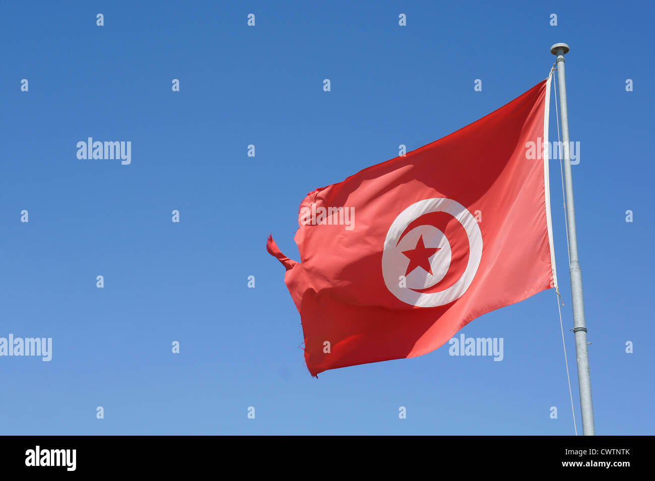 Bandierina tunisina Foto Stock