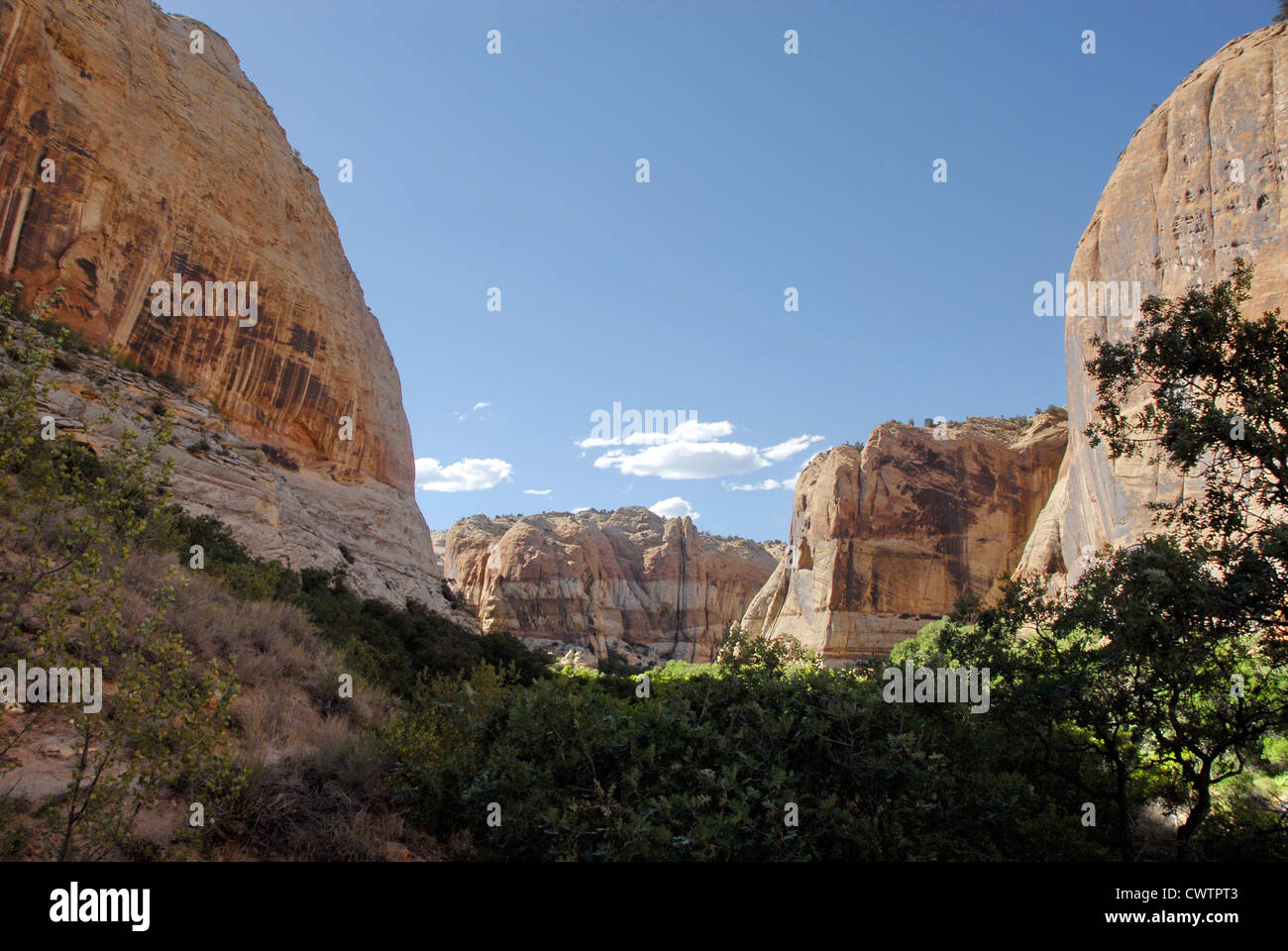 Abbassare Calf Creek Falls Trail, Scalone, Escalante National Monument, Utah Foto Stock