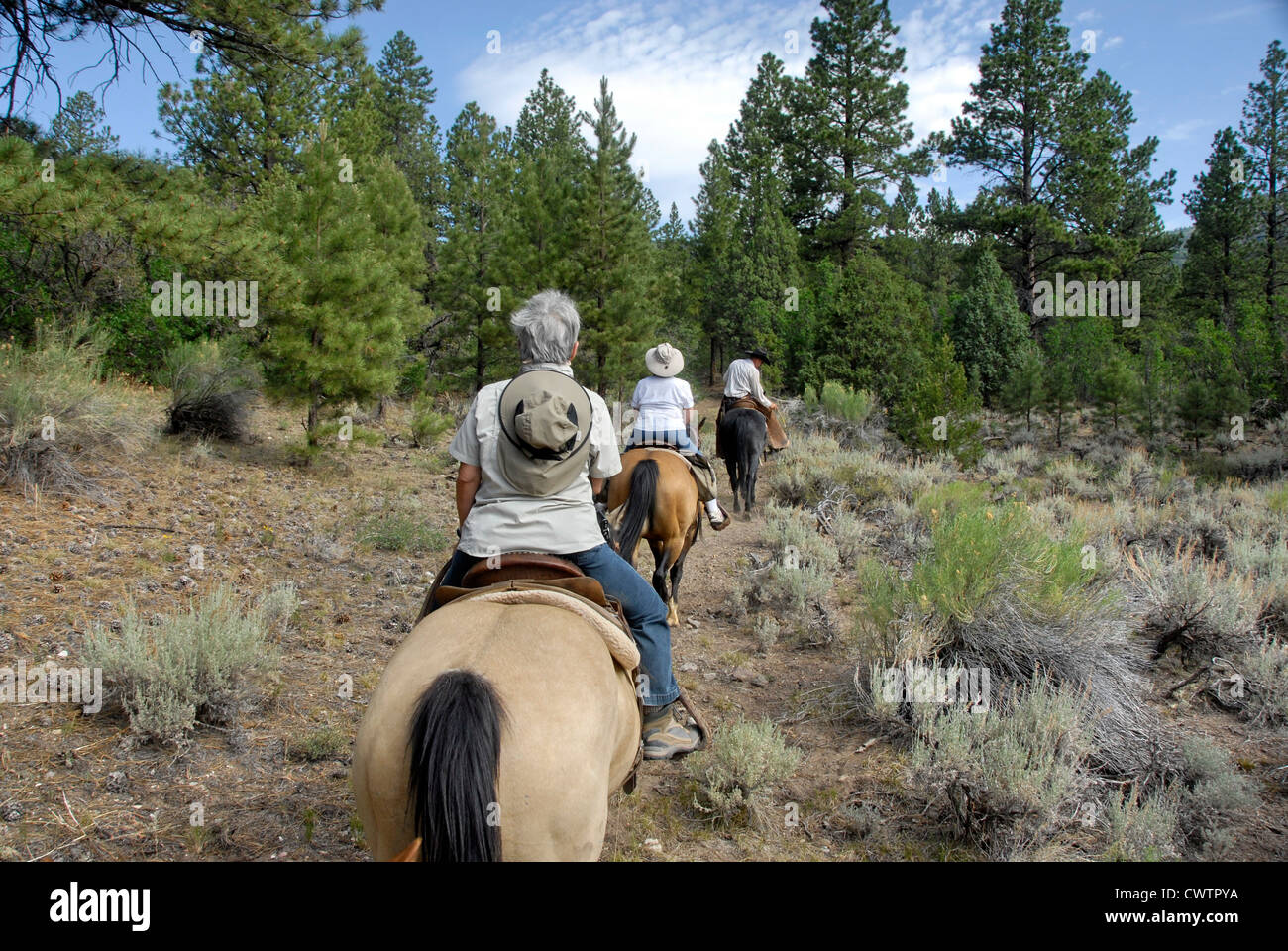 Passeggiata a cavallo in grande scala, Escalante National Monument, Utah Foto Stock