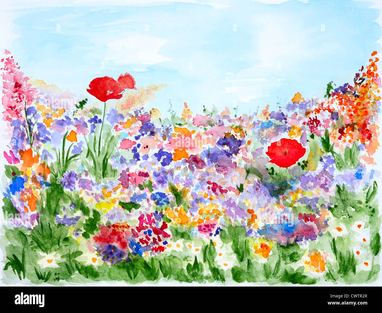 Fiori d'estate nel giardino, dipinti ad acquerello Foto stock - Alamy