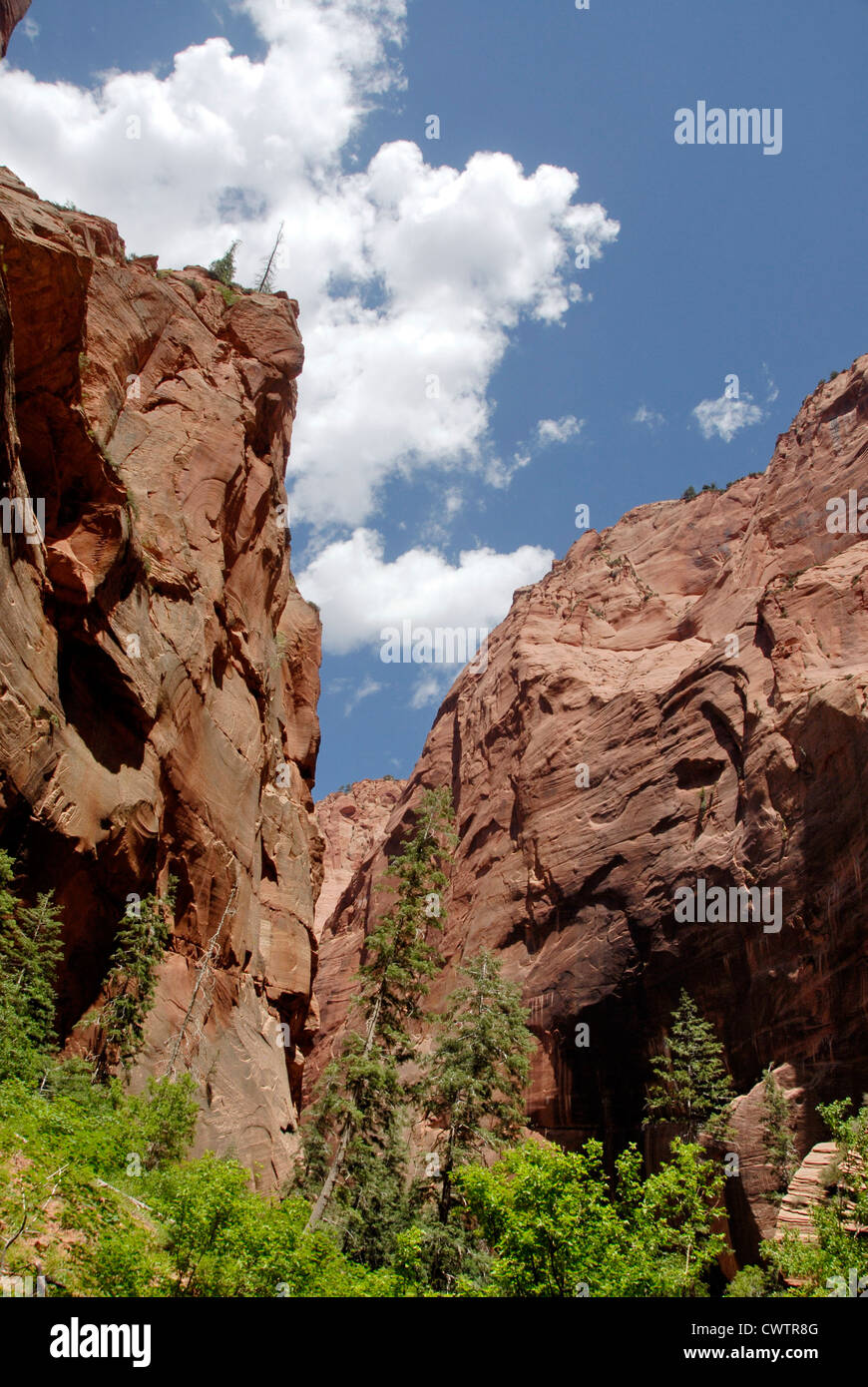 Canyon del dito su Taylor Creek Trail nel Kolob Canyon Zion National Park, Utah Foto Stock