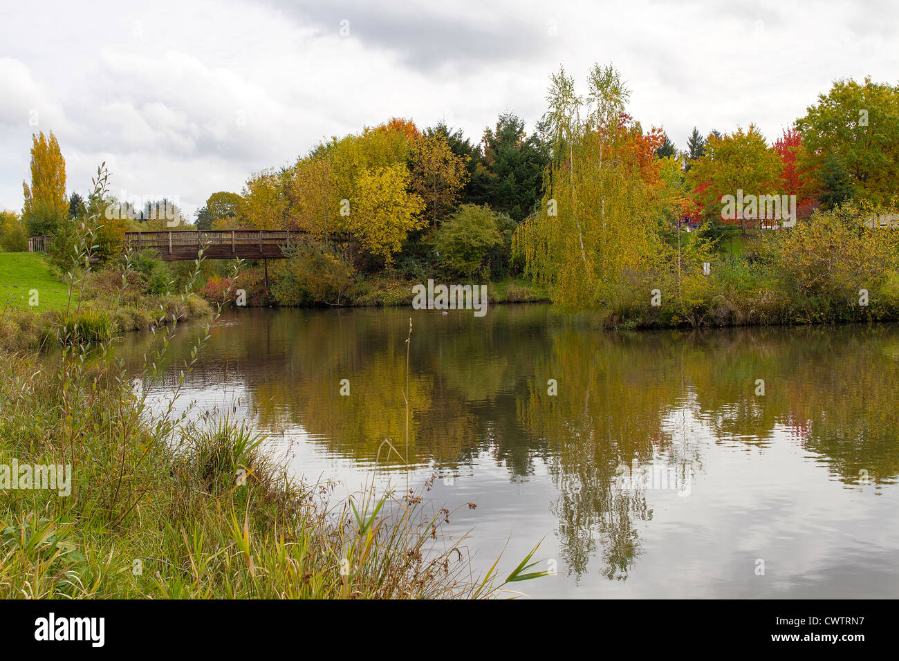 Ponte in legno sul lago presso i Parchi nella stagione autunnale Foto Stock
