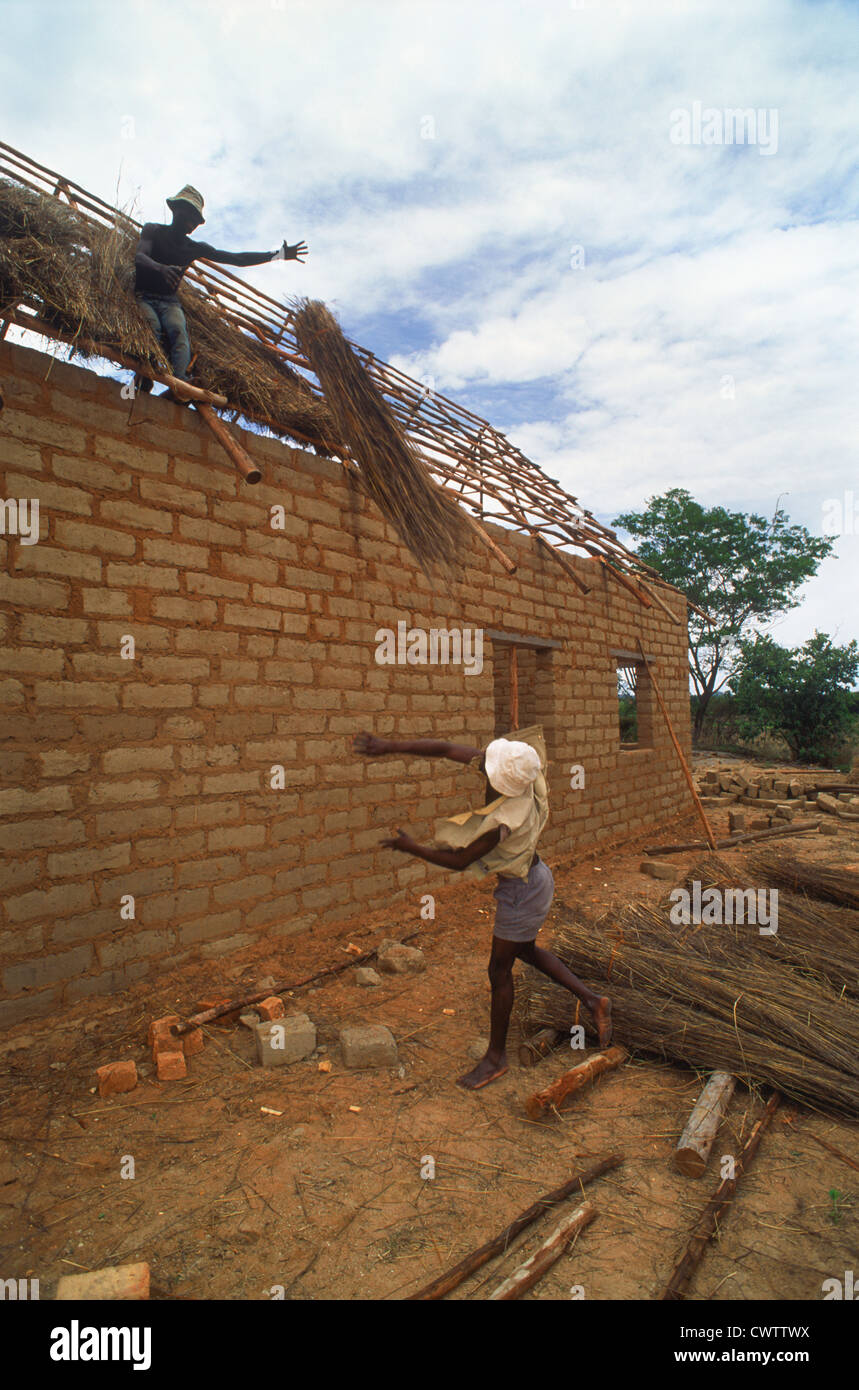 Africani costruendo tetto di paglia sulle loro case rurali di mattoni in Zimbabwe Foto Stock