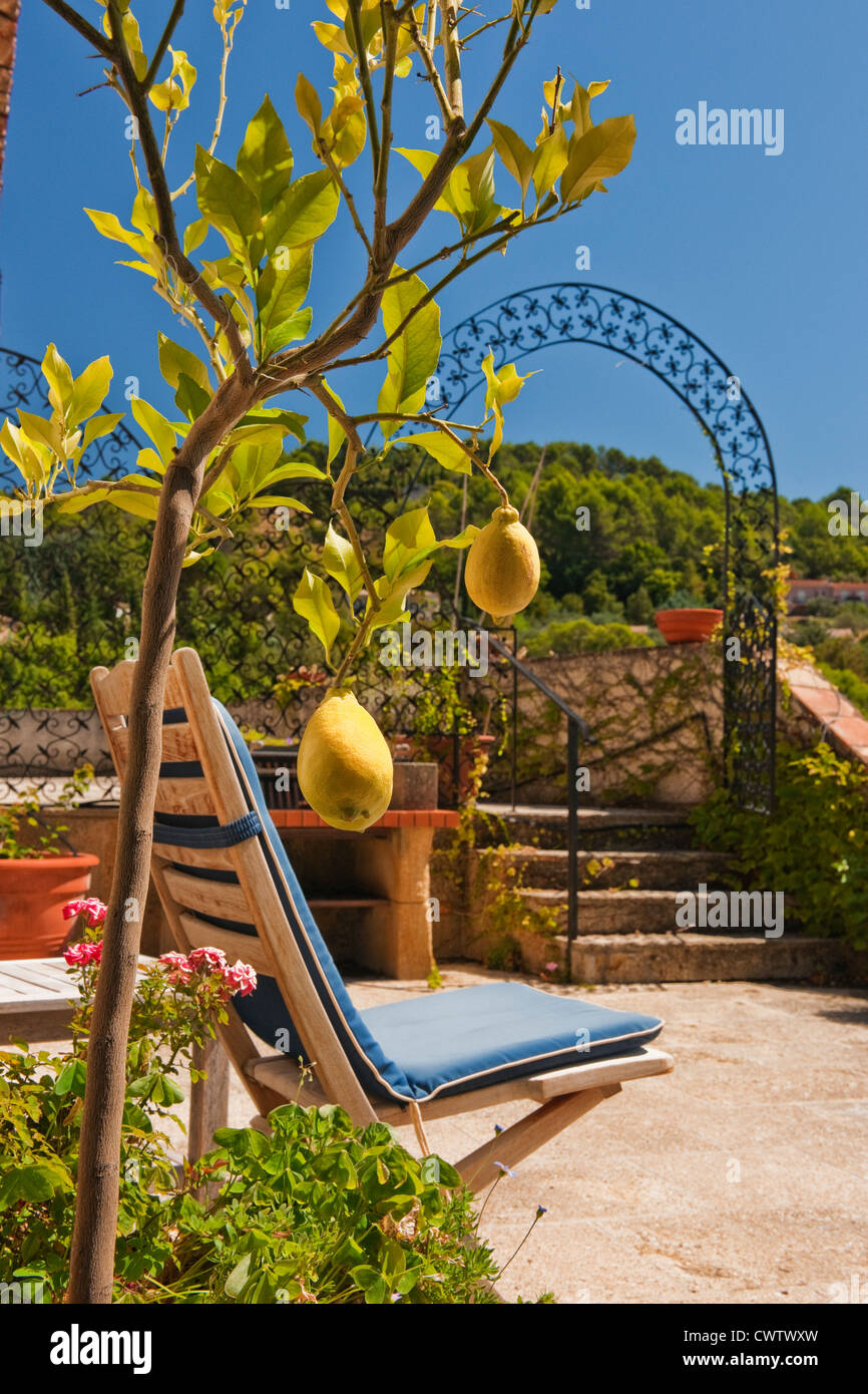 Immagine di un piccolo albero di limone con limoni e una sedia con un cuscino blu sul patio di una villa francese su una calda giornata di sole Foto Stock