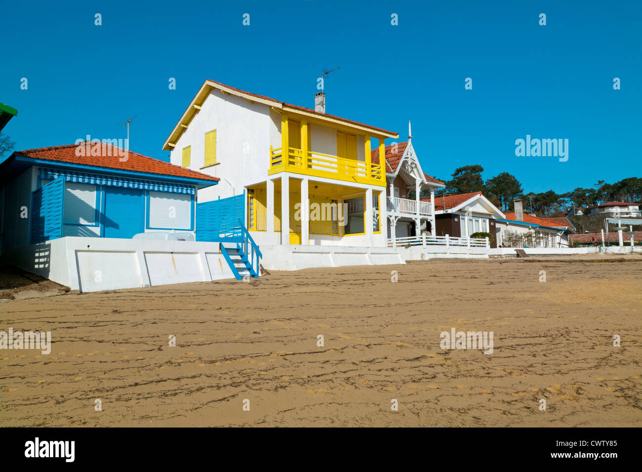 L'herbe, Baia di Arcachon, Gironde Aquitaine, Francia Foto Stock