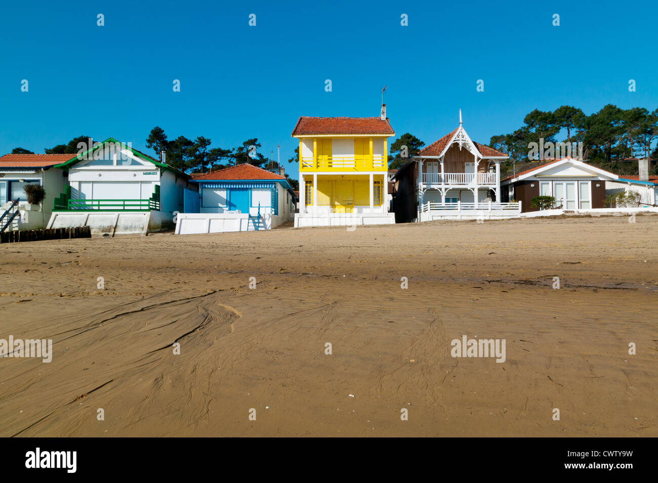 L'herbe, Baia di Arcachon, Gironde Aquitaine, Francia Foto Stock