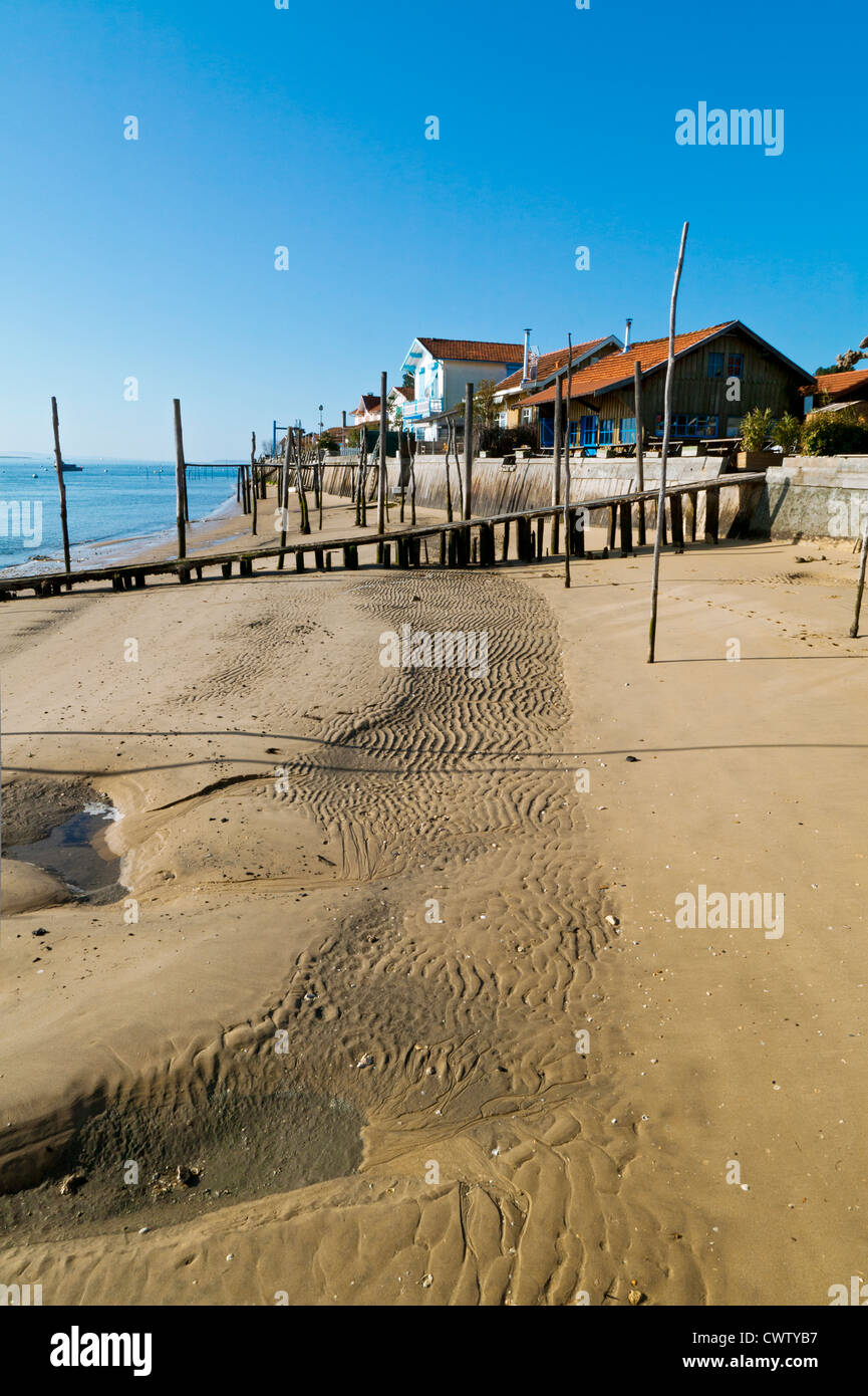 L'herbe, Baia di Arcachon, Gironde Aquitaine, Francia Foto Stock