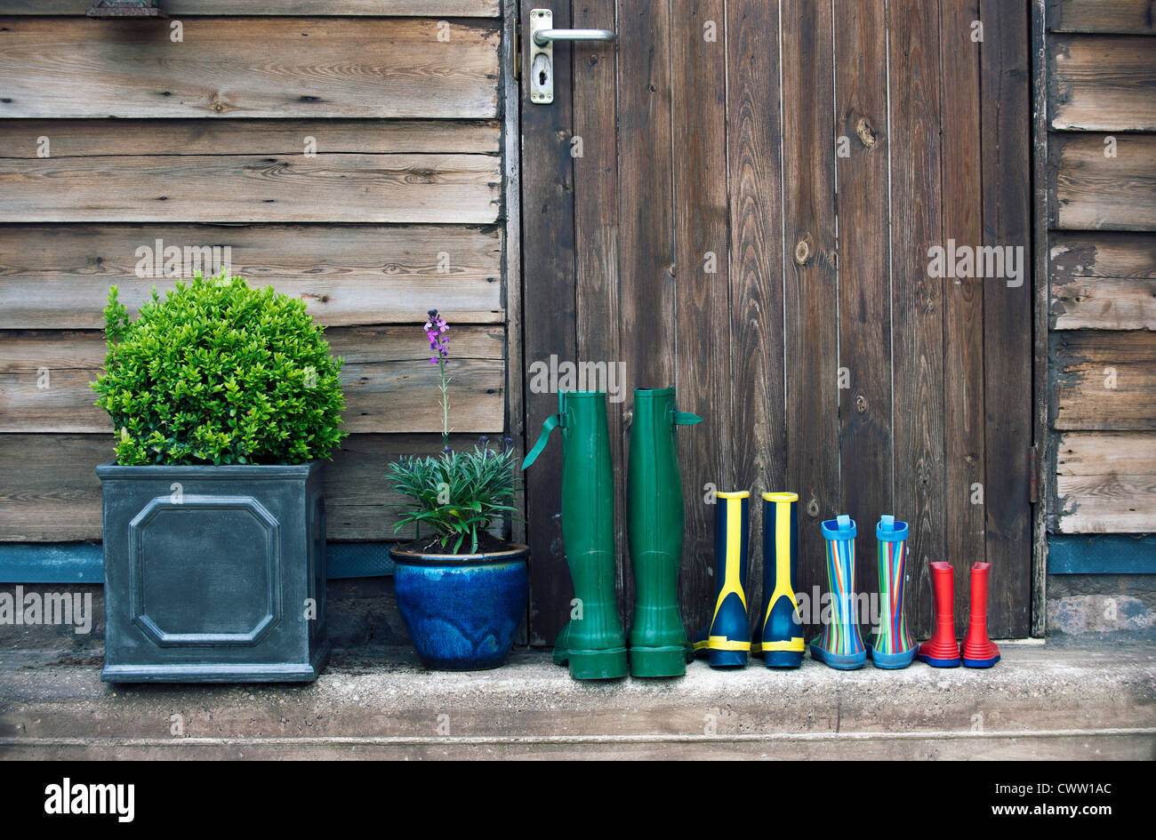 Stivali da pioggia e piante sul portico Foto Stock