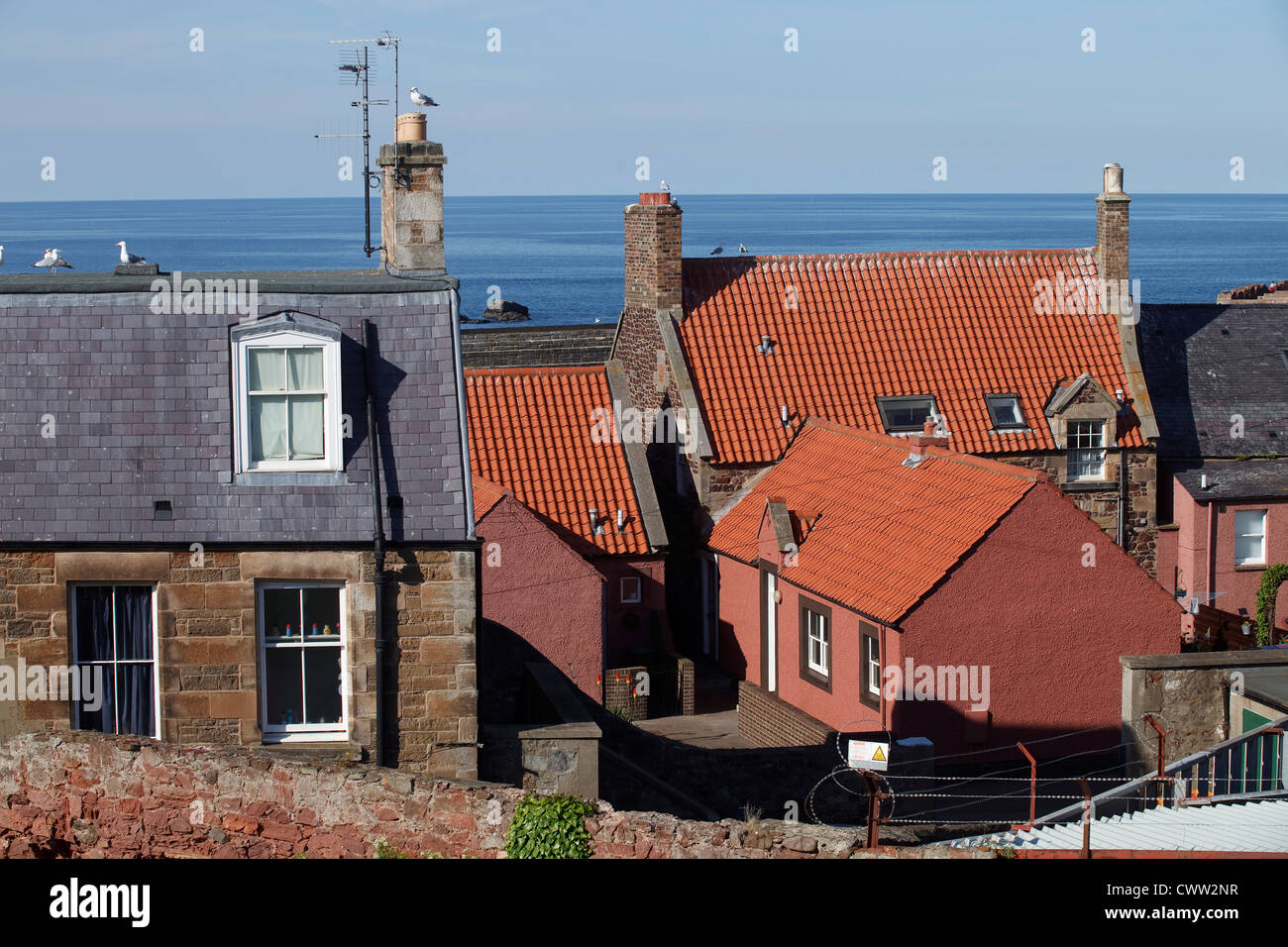 Dunbar, East Lothian, Scozia, Regno Unito east coast. Edifici tipici. Vista sul mare. Foto Stock