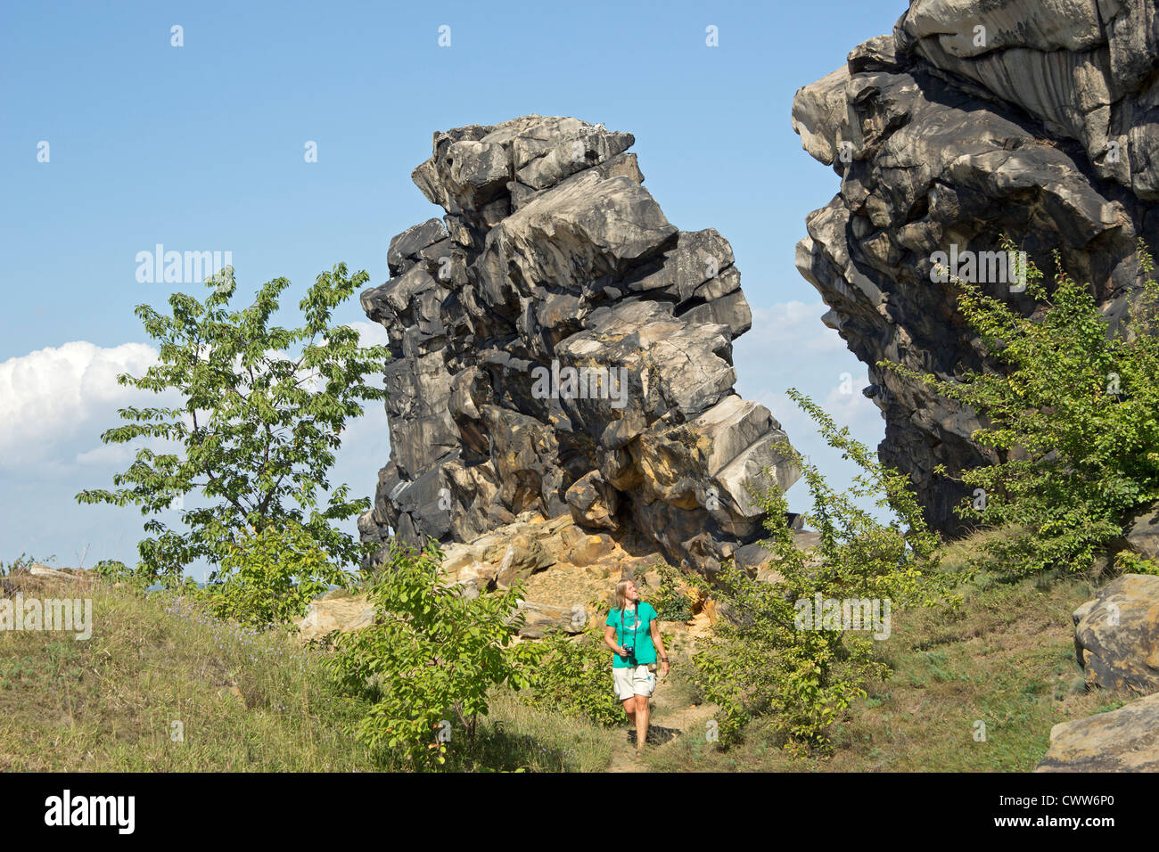 Teufelsmauer (Muri del Diavolo) vicino Weddersleben, Montagne Harz, Sassonia-Anhalt, Germania Foto Stock