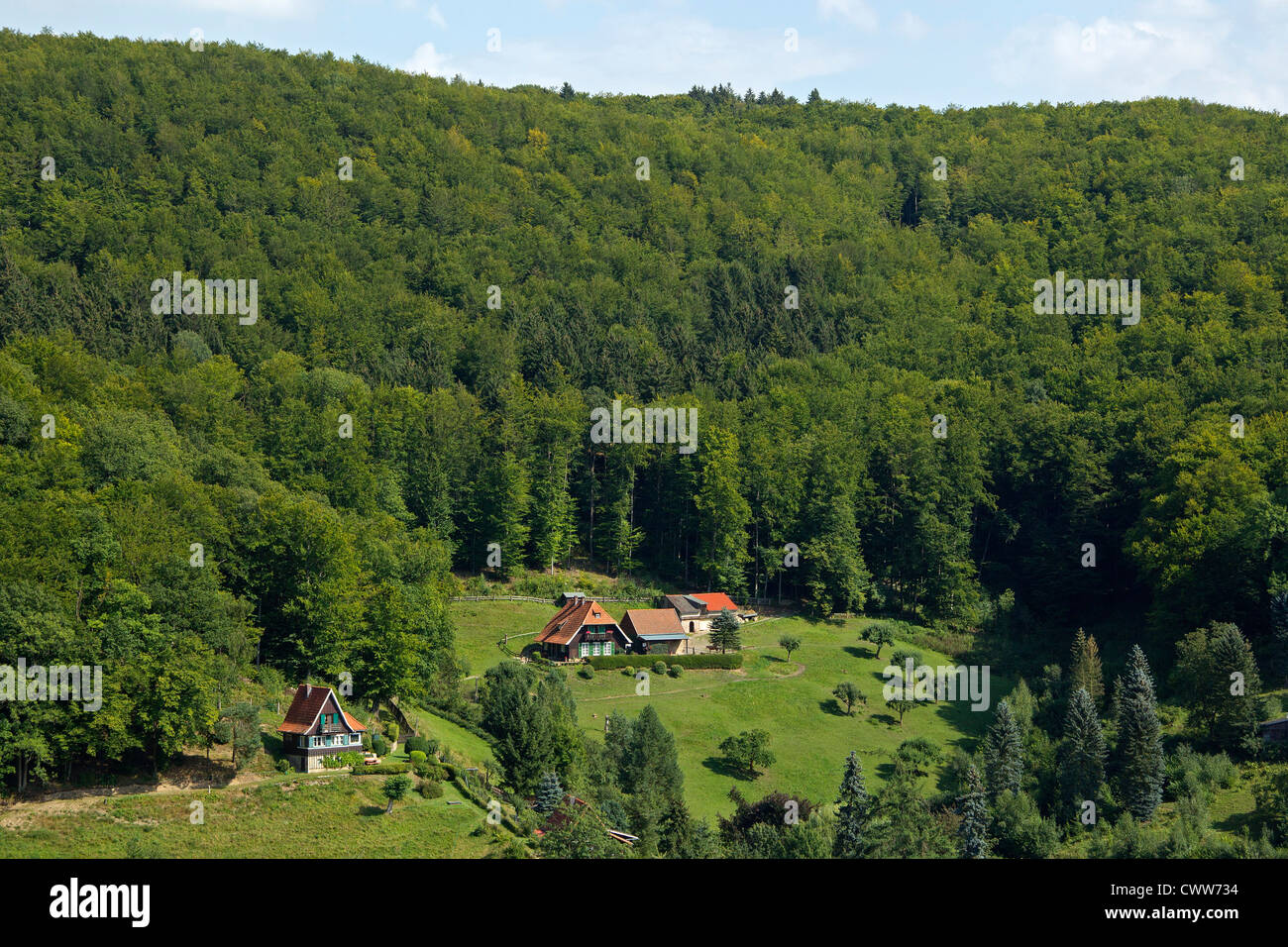 Vista panoramica dal Lutherbuche (Lutero di faggio), Stolberg, Montagne Harz, Sassonia-Anhalt, Germania Foto Stock