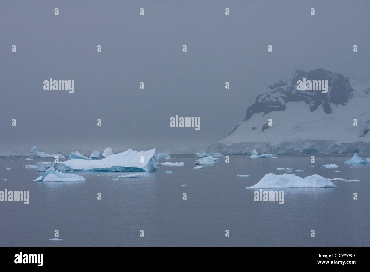 Ghiaccio galleggiante bergs circondano sull'isola King George, in Antartide Foto Stock
