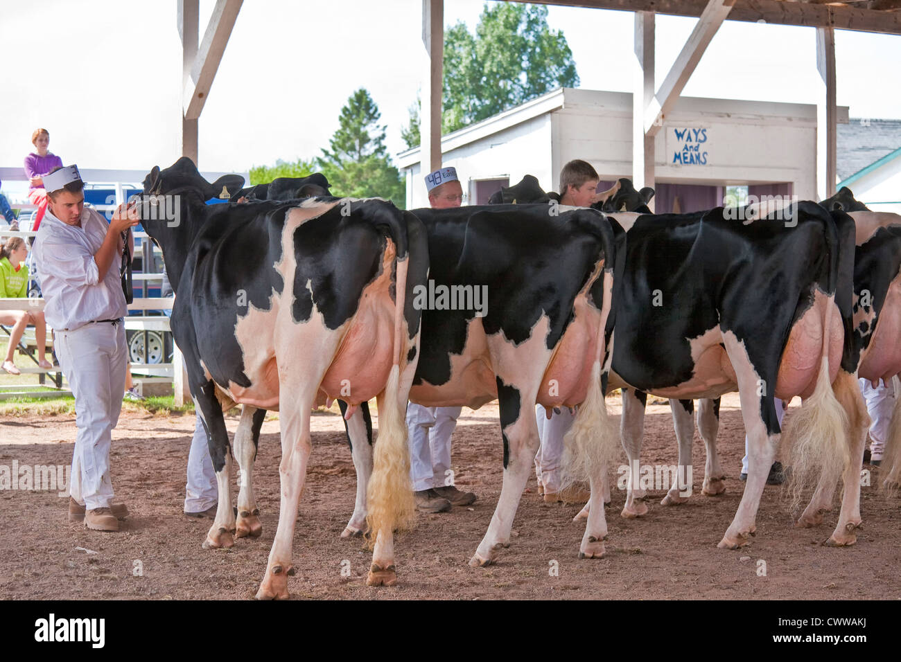 Concorrenti dairy show all'Evangeline fiera agricola e Acadian Festival in Prince Edward Island, Canada, Foto Stock