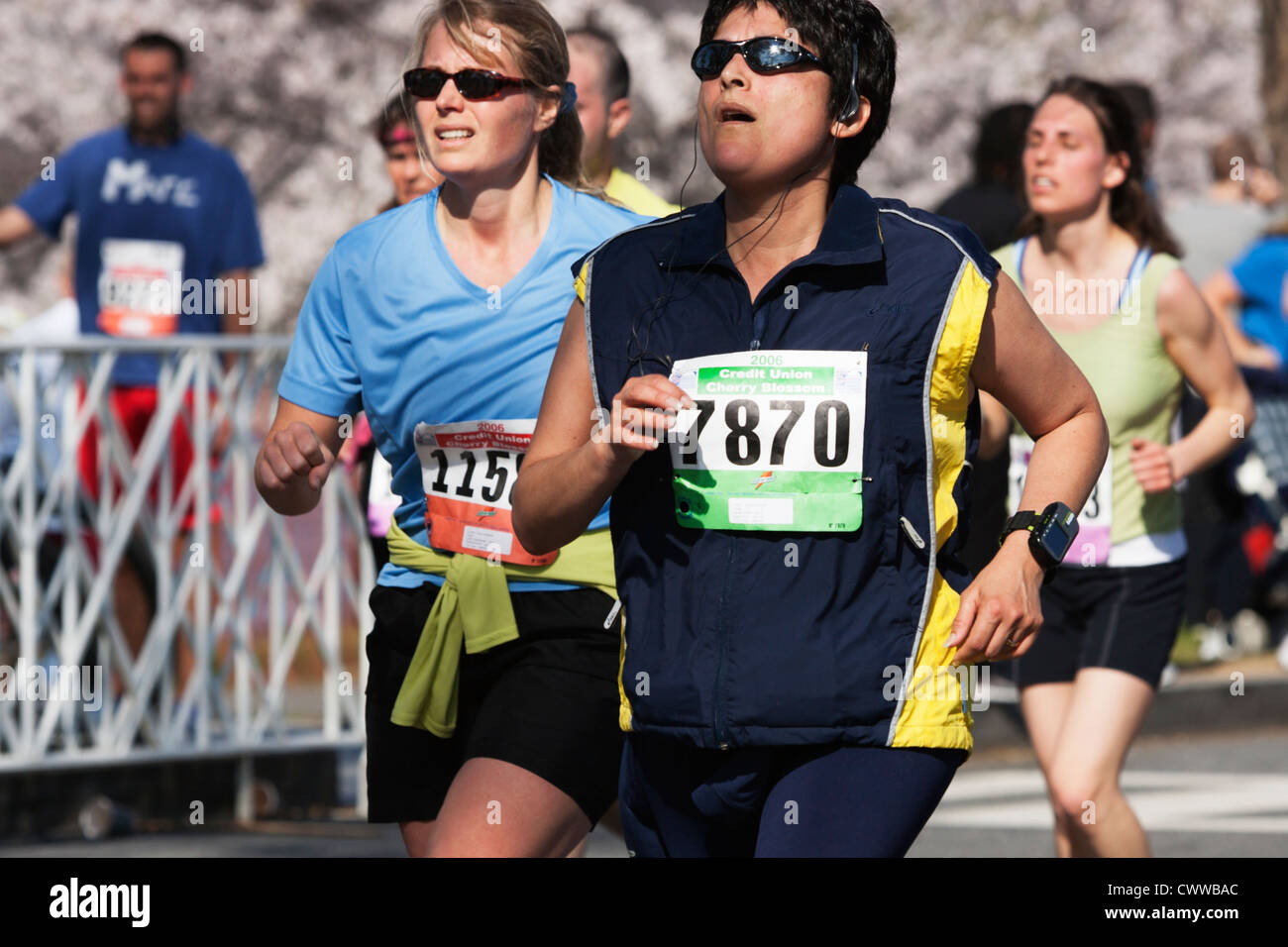 Guide di scorrimento in concorrenza nell'annuale di fiori di ciliegio 10K gara in Washington, DC. Foto Stock