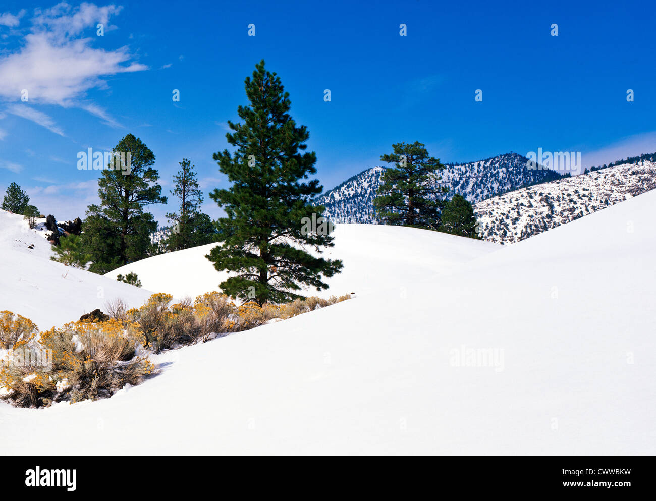 Neve pesante al tramonto cratere vulcanico monumento nazionale, a nord di Flagstaff, in Arizona. Foto Stock