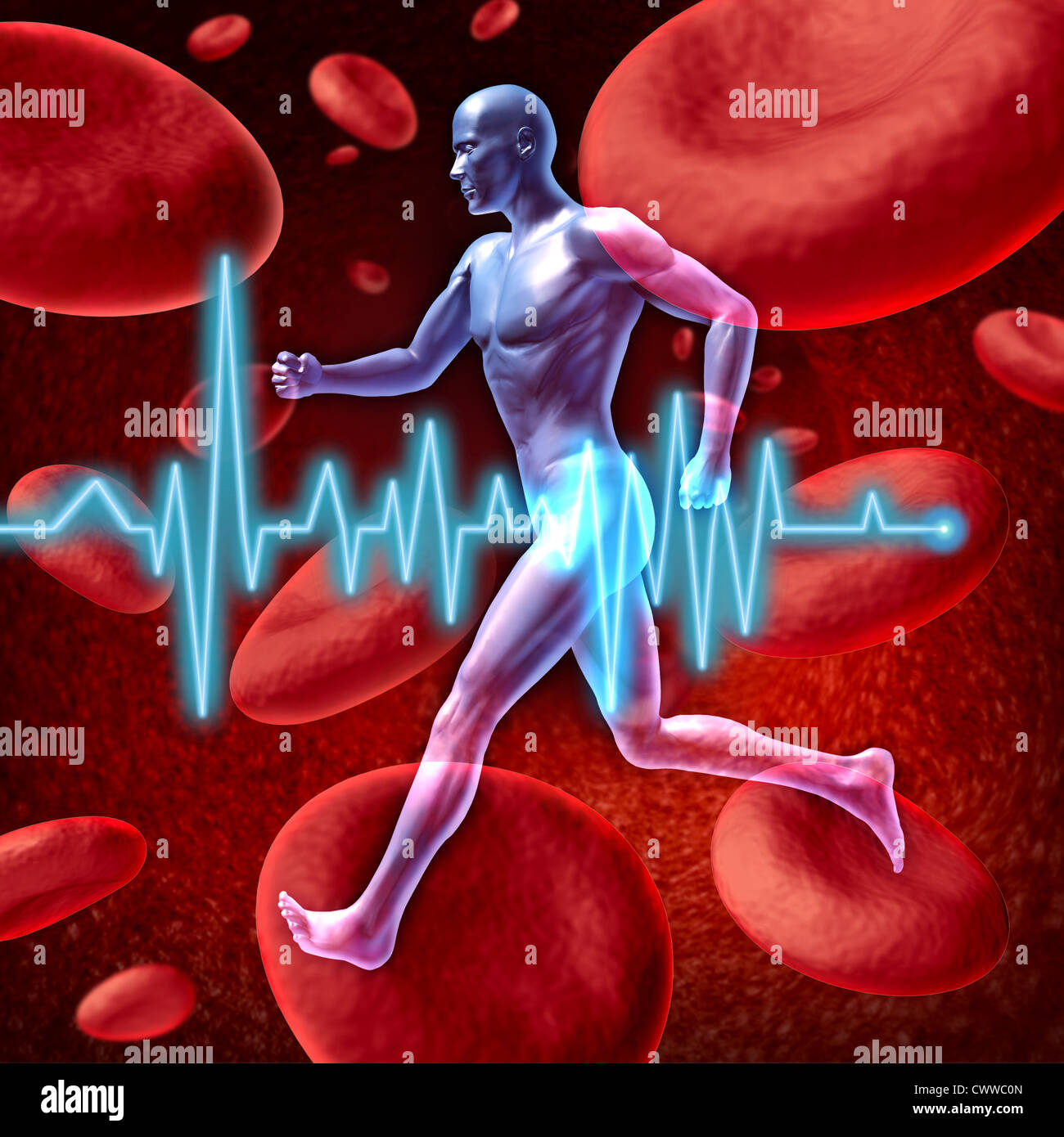Umano circolazione cardiovascolare rappresentato da un uomo con un background di cellule rosse del sangue che fluisce attraverso una arteria che mostra il concetto di medico sistema circolatorio che è ben ossigenata. Foto Stock