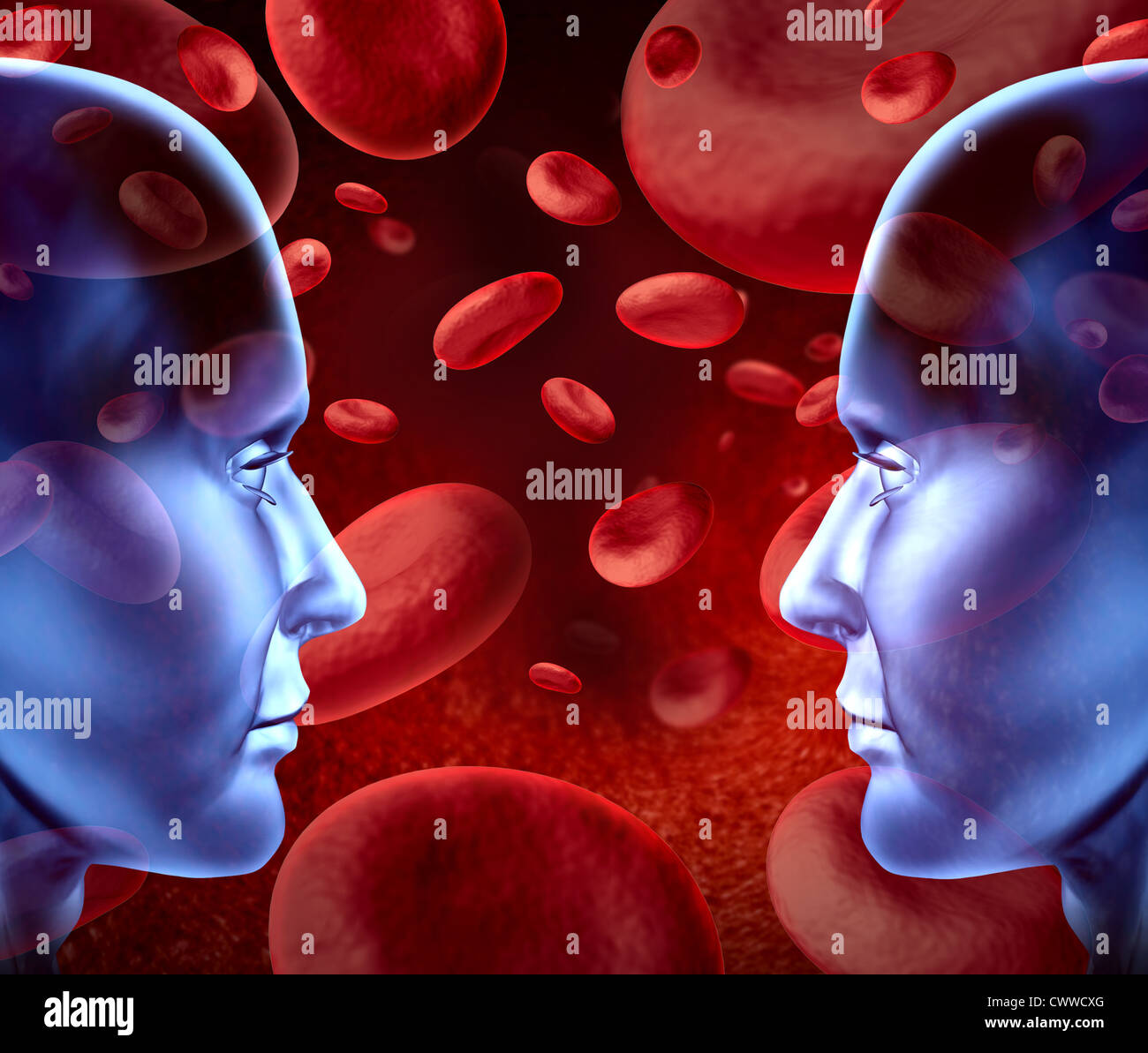 Le donazioni di sangue con diversi gruppi sanguigni e tipi che rappresentano le cellule rosse del sangue che scorre attraverso le vene e umano il sistema circolatorio per i donatori e i beneficiari di trasfusioni per chirurgia di emergenza presso una clinica ospedaliera. Foto Stock