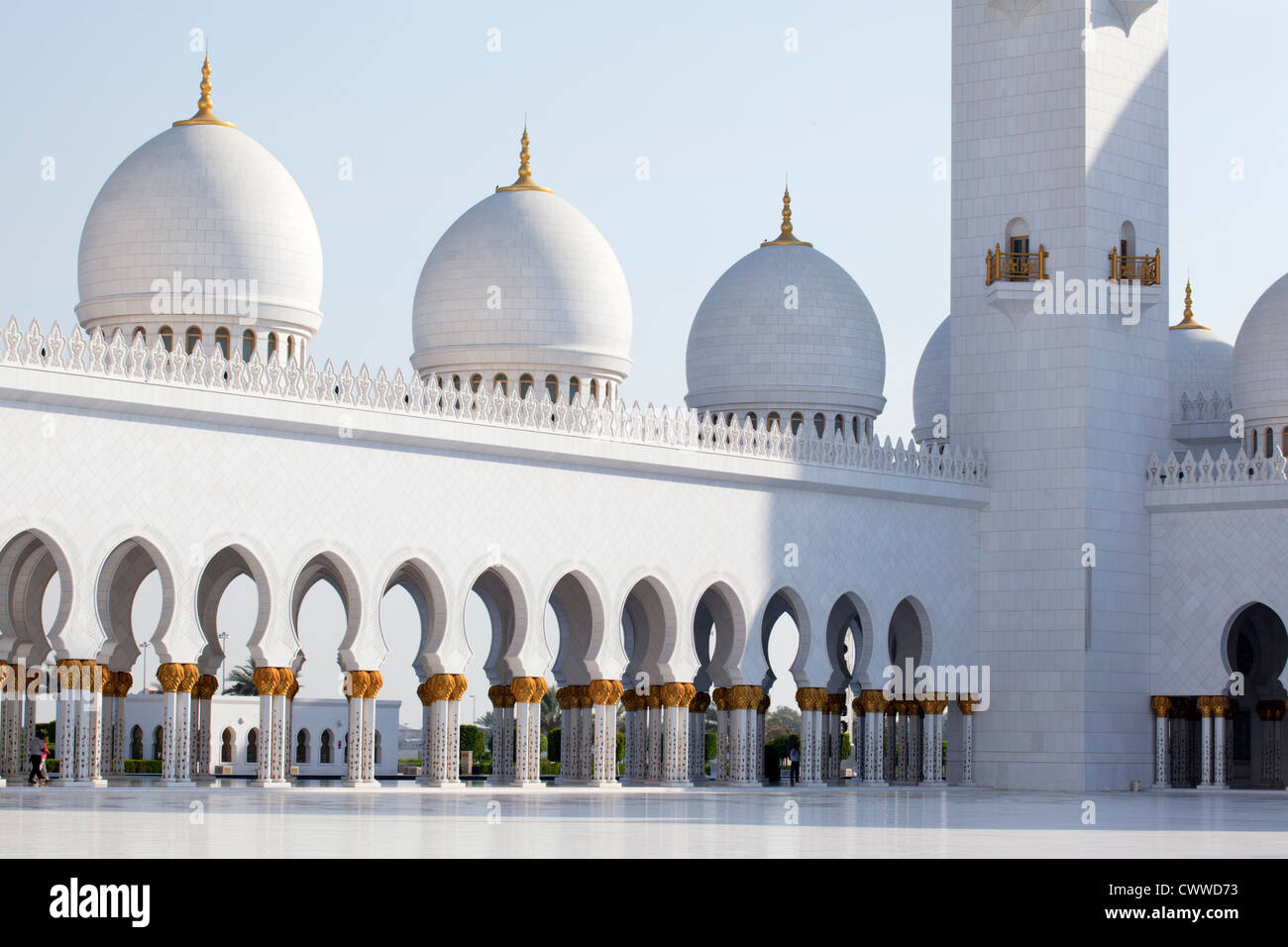 Sheikh Zayed Bin Sultan Al Nahyan Grande Moschea di Abu Dhabi, Emirati Arabi Uniti Foto Stock