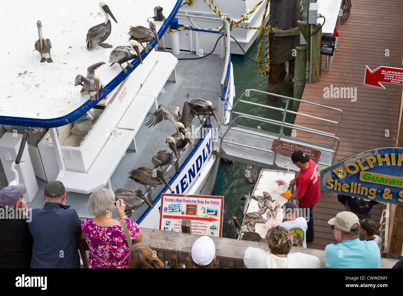 Deep sea barca da pesca di pulitura a mano il pesce sul molo a John's Pass in Madeira Beach, Florida Foto Stock