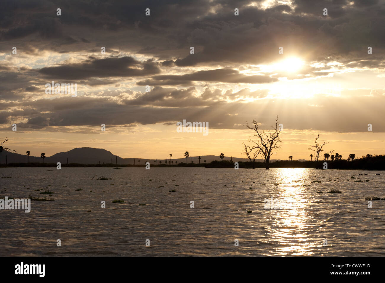 Africa tramonto su acqua, Lago Manze, Riserva Selous, Tanzania Africa Foto Stock