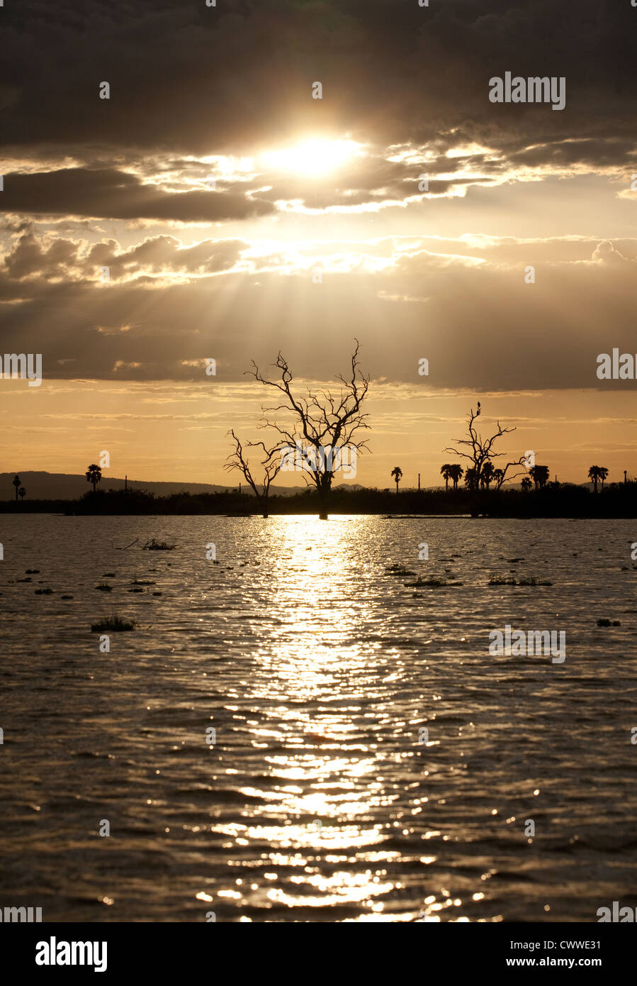 Africa tramonto su acqua, Lago Manze, Riserva Selous, Tanzania Africa Foto Stock