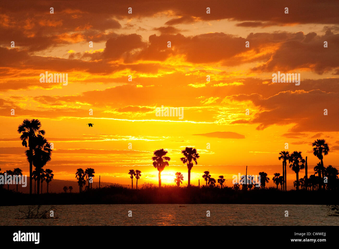 Tramonto africano, Lago Manze, la Riserva Selous Tanzania Africa Foto Stock