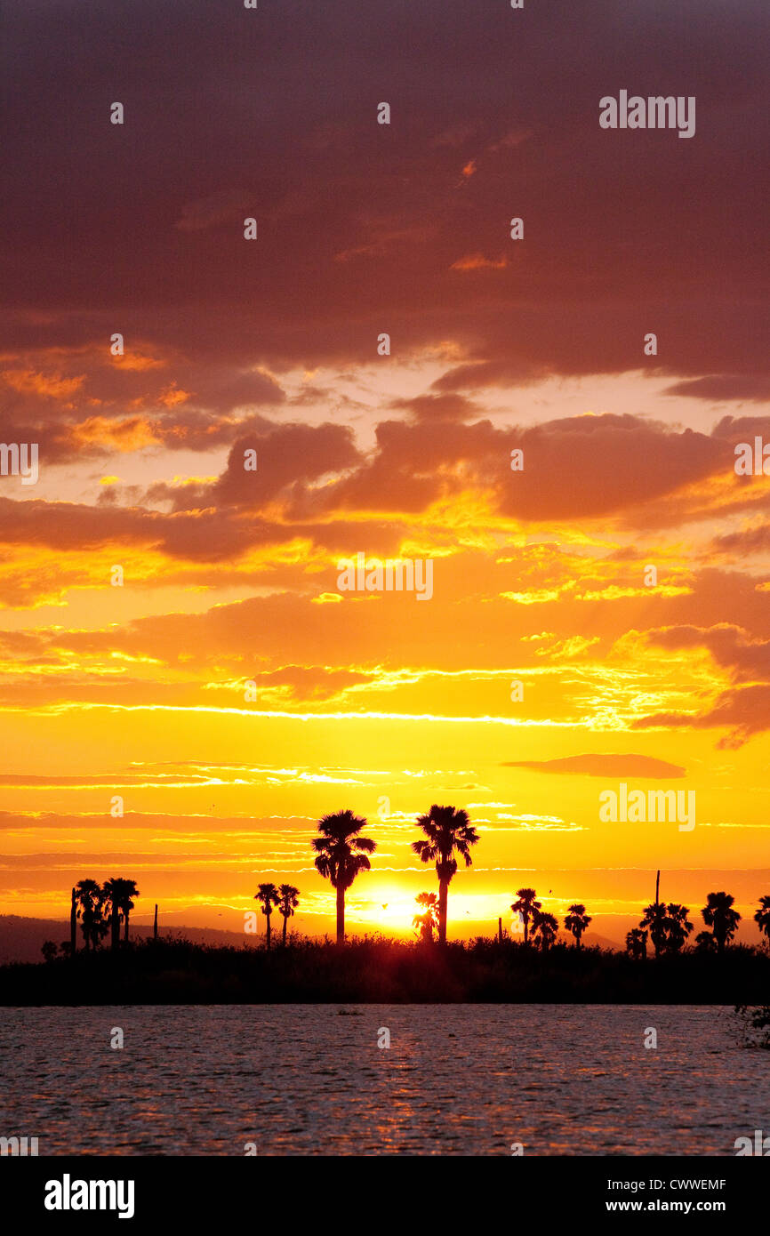 Crepuscolo, appena dopo il tramonto il lago di manze, Riserva Selous Tanzania Africa Foto Stock