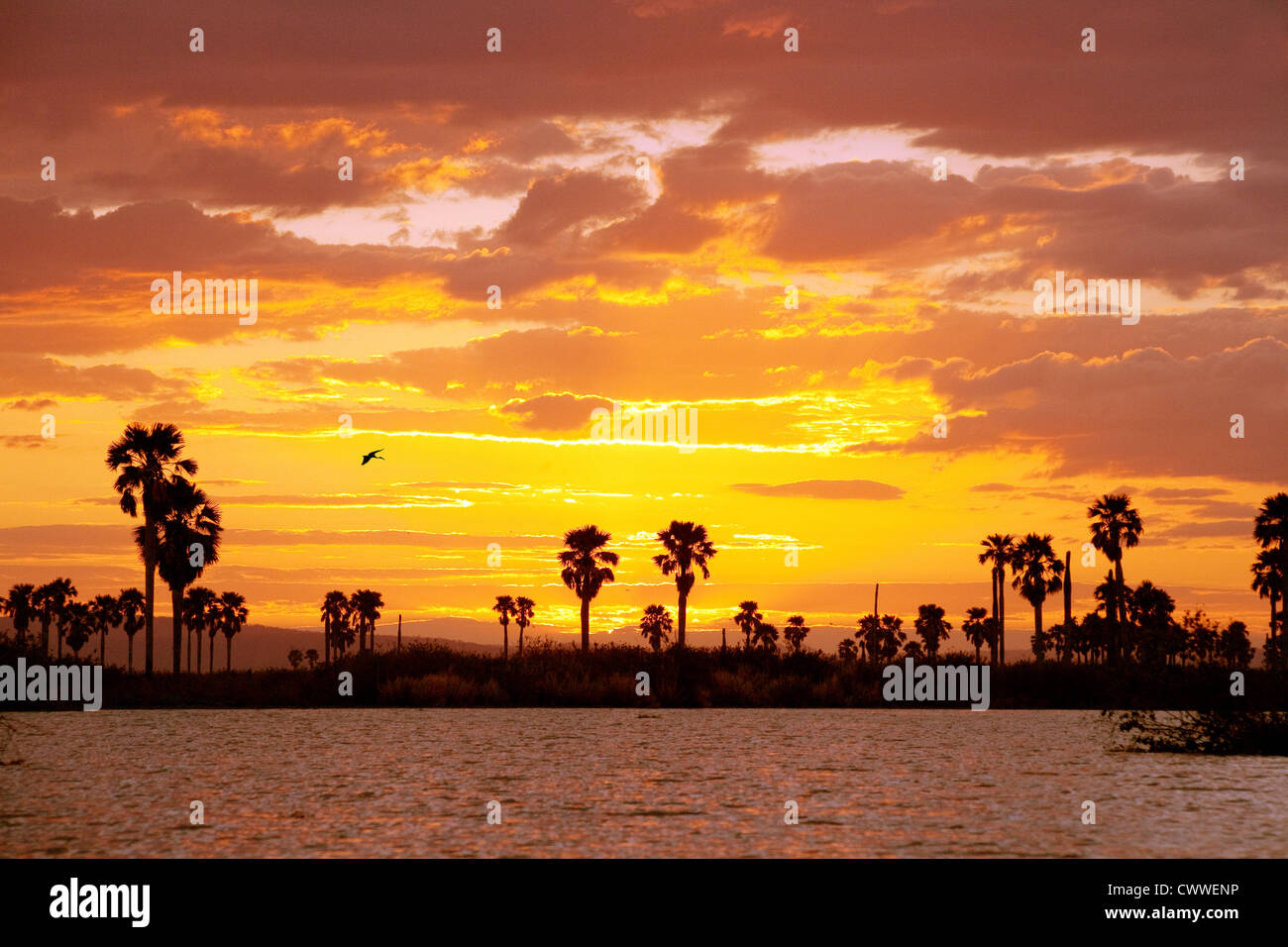 Crepuscolo, appena dopo il tramonto il lago di manze, Riserva Selous Tanzania Africa Foto Stock