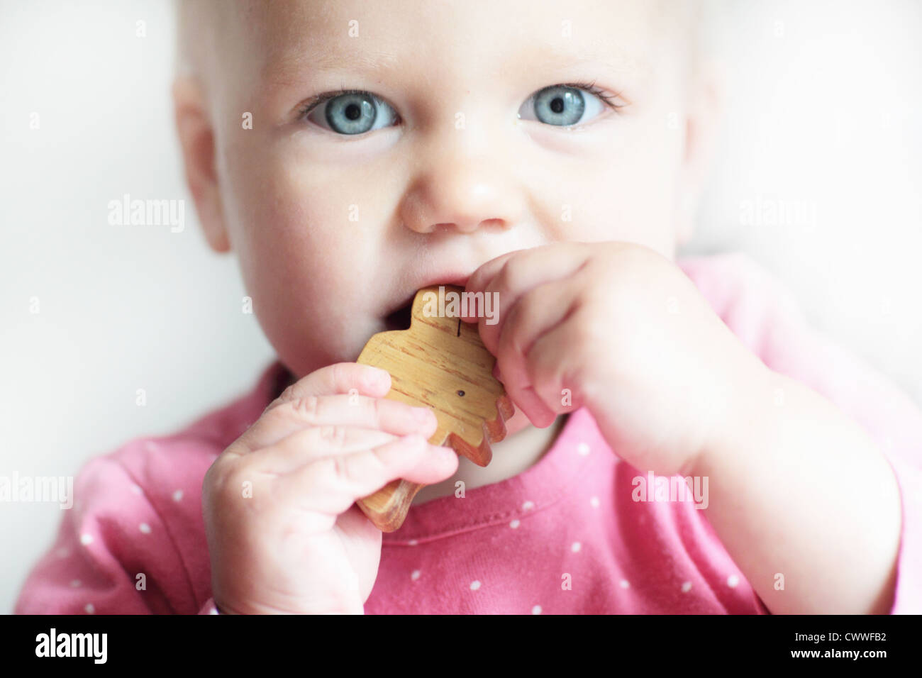 Il Toddler masticare sul giocattolo di blocco Foto Stock