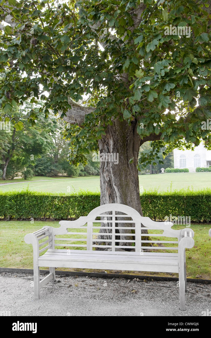 Panca di legno sotto un albero. Foto Stock
