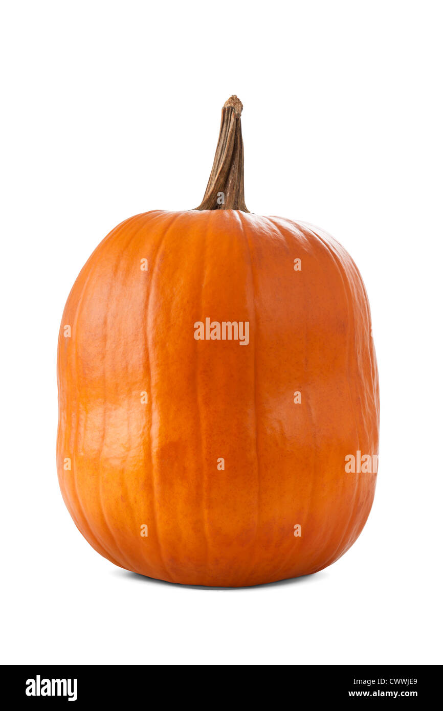 La zucca isolati su sfondo bianco Foto Stock