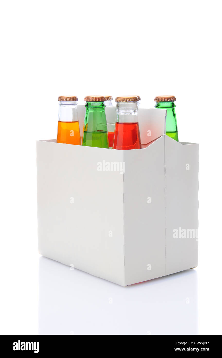 Vista di tre quarti, un six pack assortiti di soda bottiglie su uno sfondo bianco con la riflessione. Foto Stock