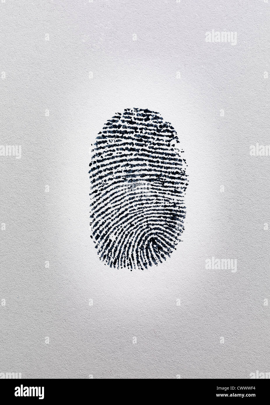 Close up di impronte digitali sulla carta Foto stock - Alamy