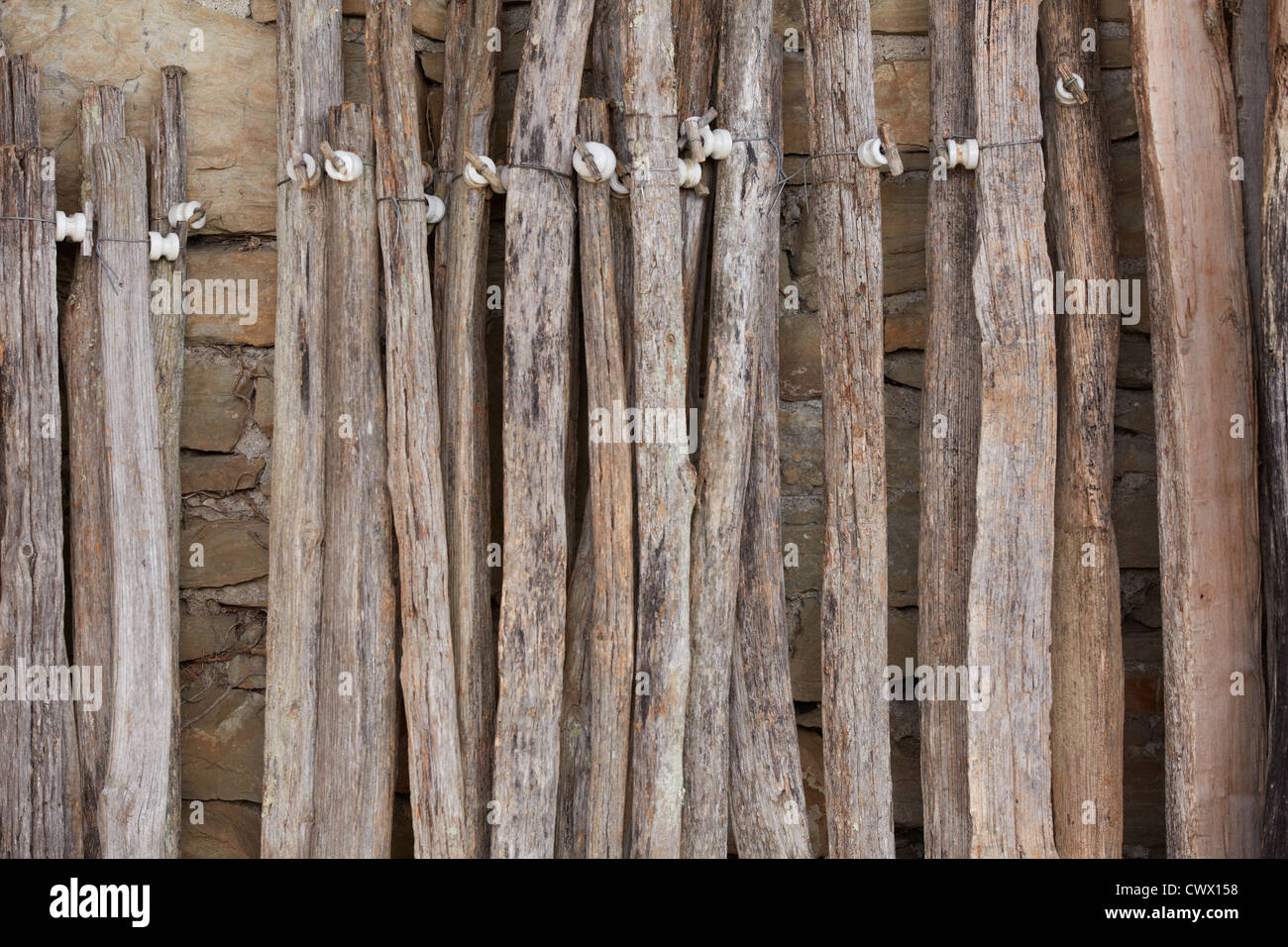 Vecchio doghe in legno abbandonata la ruggine assicelle di legno mattone muro di pietra verde erba Foto Stock
