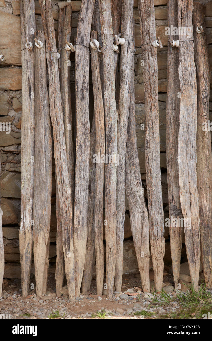 Vecchio doghe in legno abbandonata la ruggine assicelle di legno mattone muro di pietra verde erba Foto Stock
