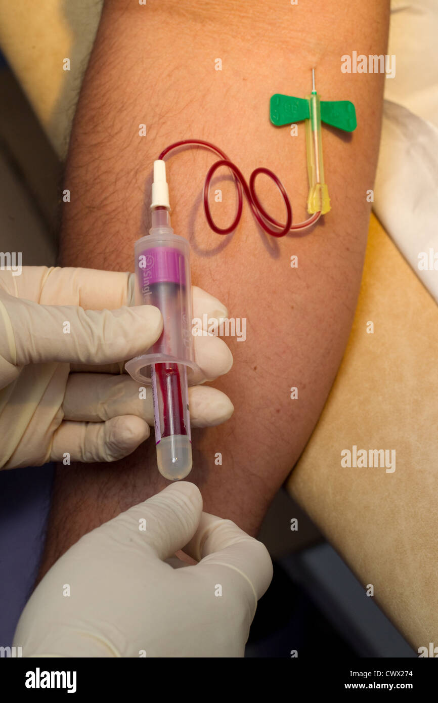 Analisi del sangue Foto Stock