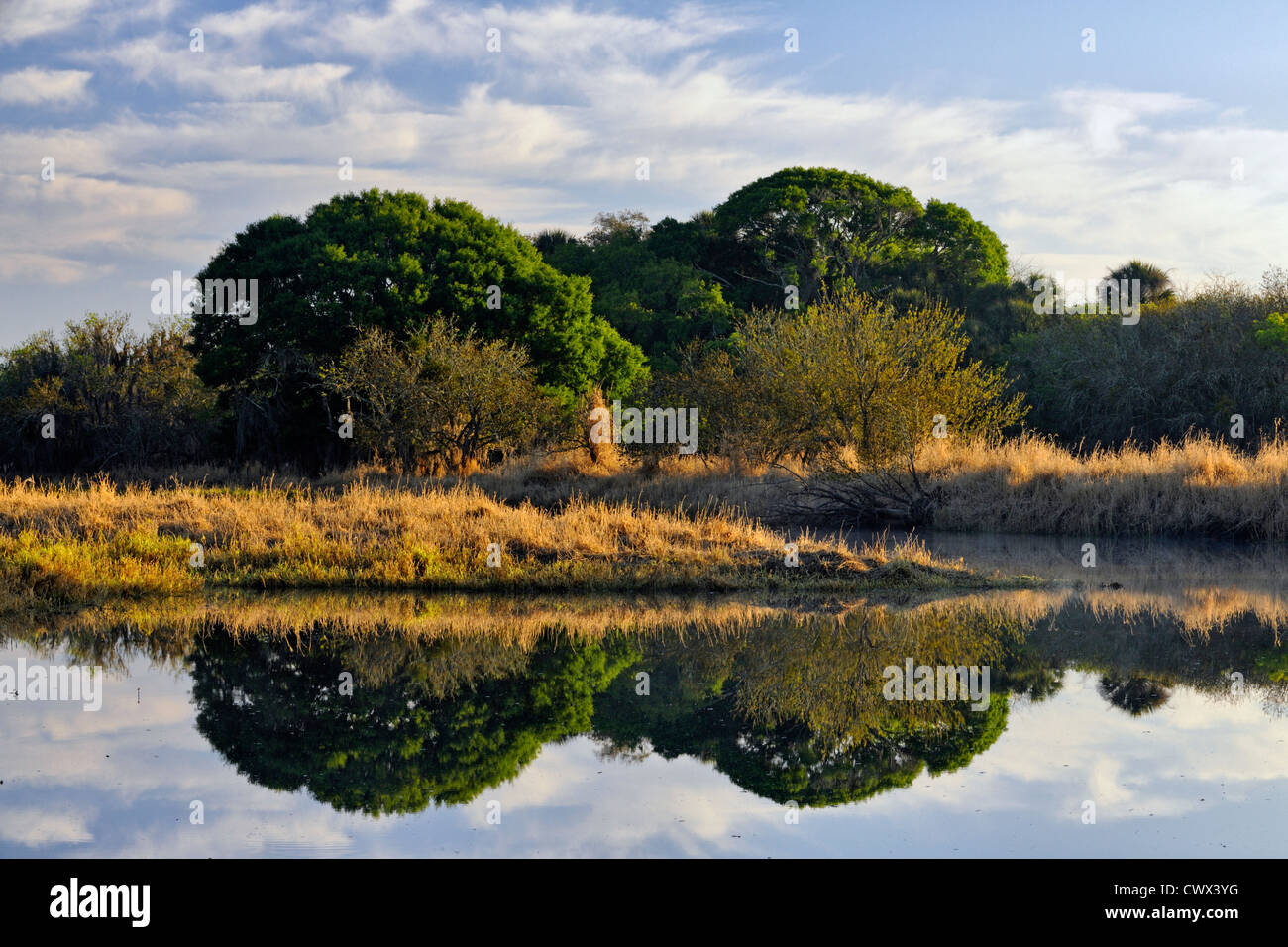 Myakka River all'alba, Myakka River State Park, Florida, Stati Uniti d'America Foto Stock