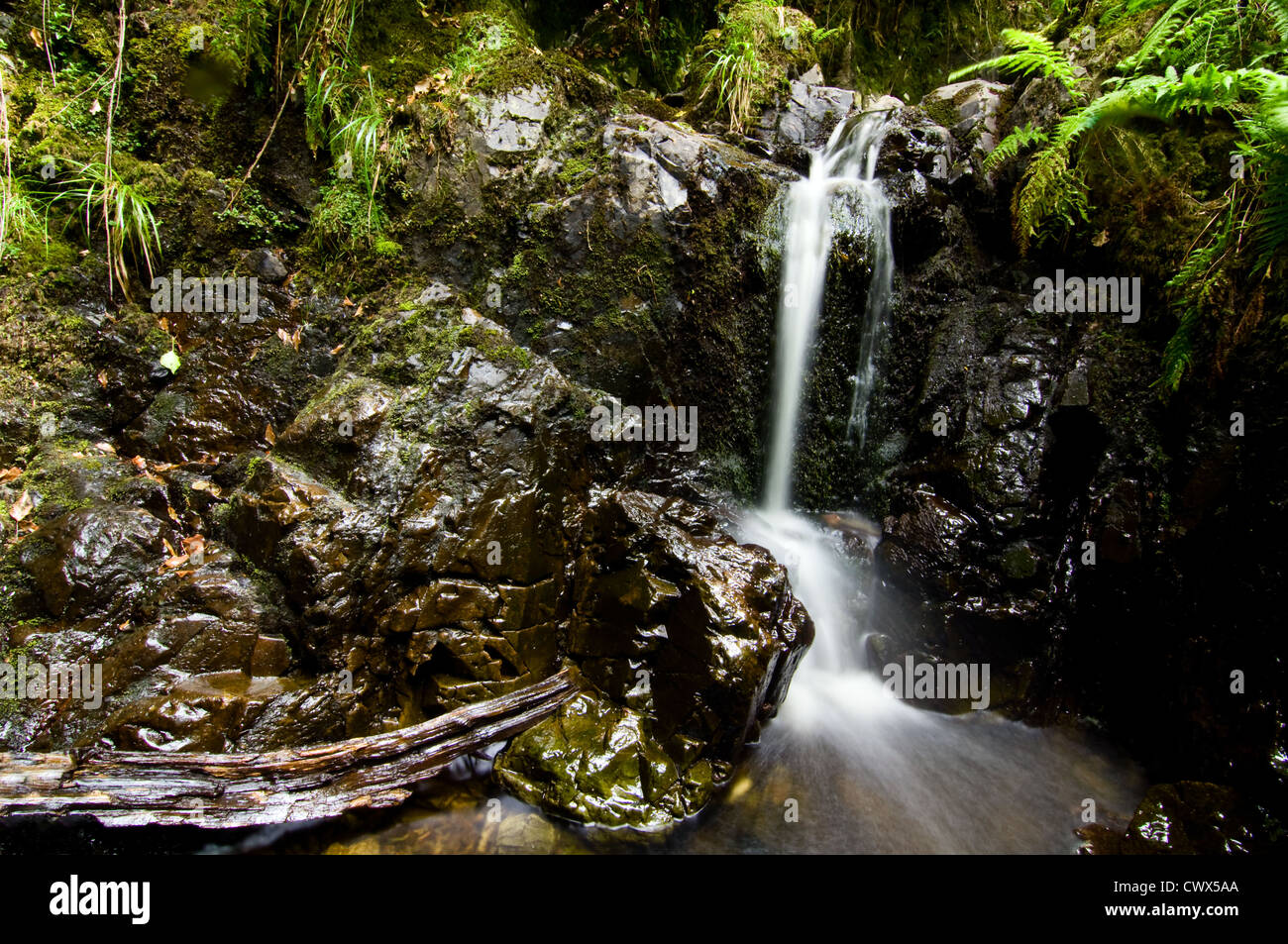 Cascata a Walla roccioso, Lake District Foto Stock