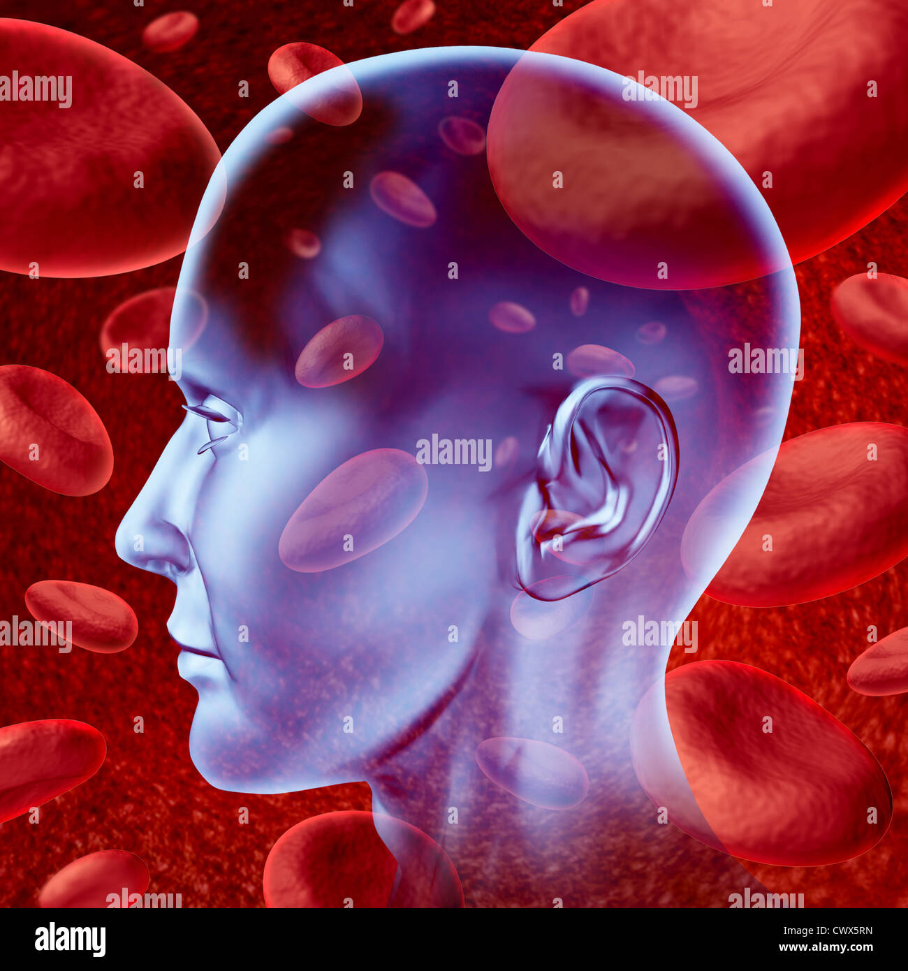 Cervello umano corsa la circolazione del sangue simbolo con le cellule rosse del sangue che scorre attraverso le vene e umano sistema circolatorio che rappresenta un medico health care simbolo. Foto Stock