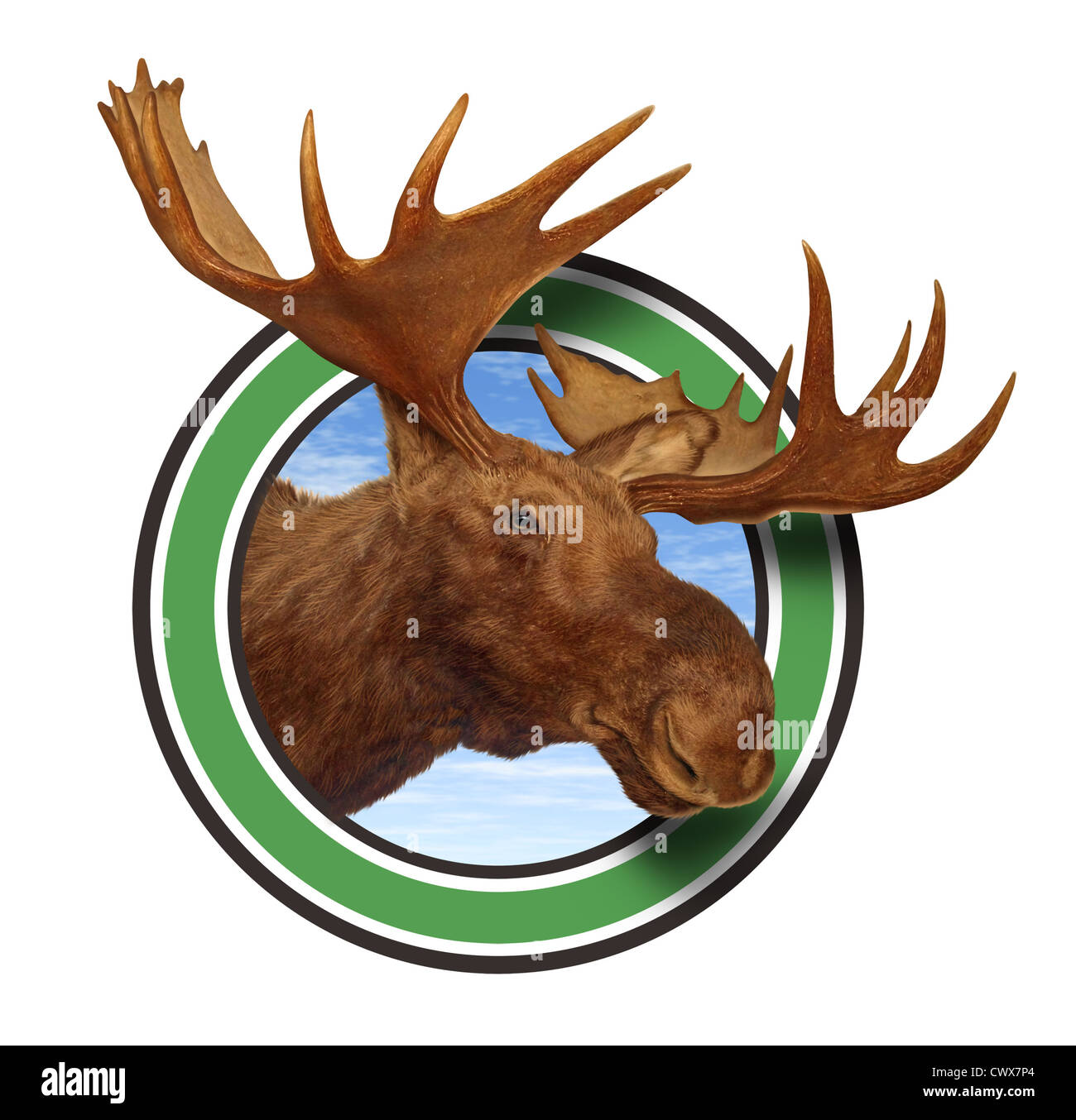 Testa di alce corna icona della foresta isolata su sfondo bianco che rappresenta la fauna del nord dalla fauna selvatica del Canadese che Americano delle montagne del nord responsabile per la caccia e la conservazione naturale. Foto Stock