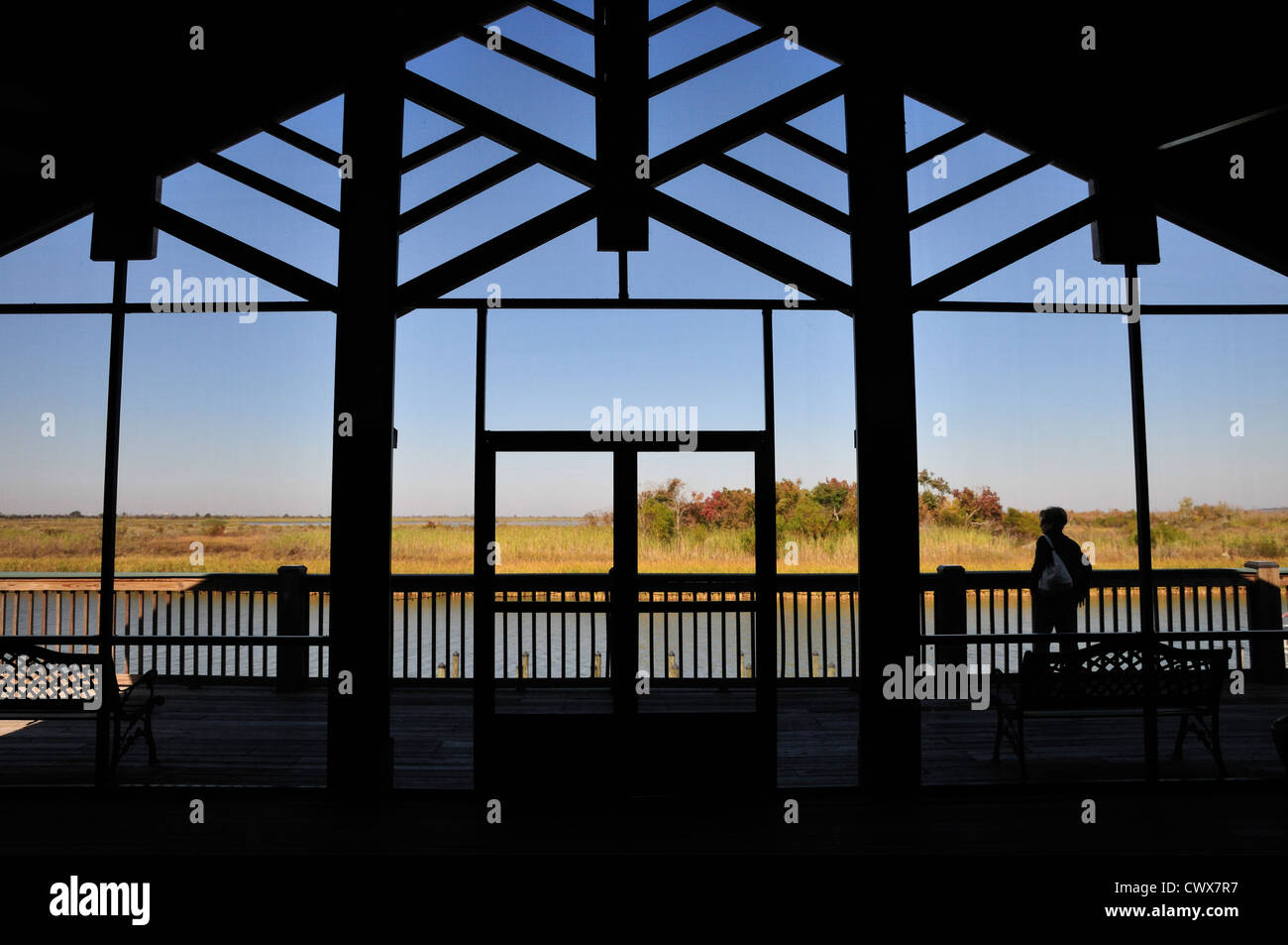 Vista attraverso la finestra dei 5 fiumi Delta Resource Center Foto Stock