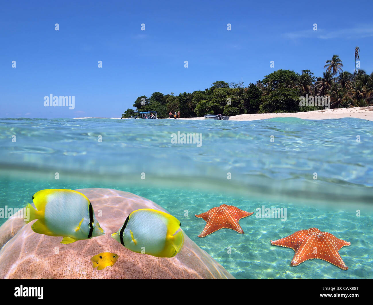 Isola tropicale con gita in barca atterrato sulla spiaggia e pesce con corallo e starfish subacquea, vista suddivisa al di sopra e al di sotto della superficie, il mare dei Caraibi Foto Stock