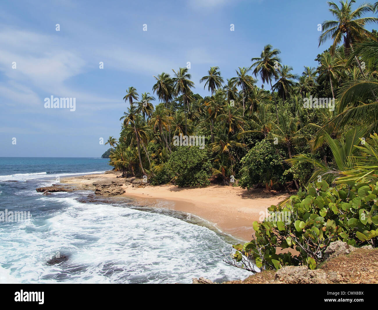 La spiaggia incontaminata con vegetazione lussureggiante, costa caraibica del Costa Rica Foto Stock