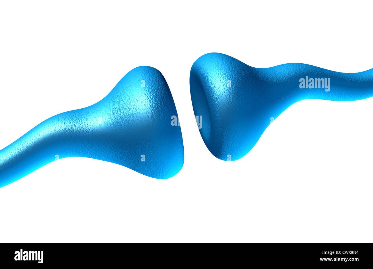 Synapse di neuroni e cellule su uno sfondo bianco invio di segnali elettrici e chimici di segnalazione del recettore umano cellule come un ne Foto Stock