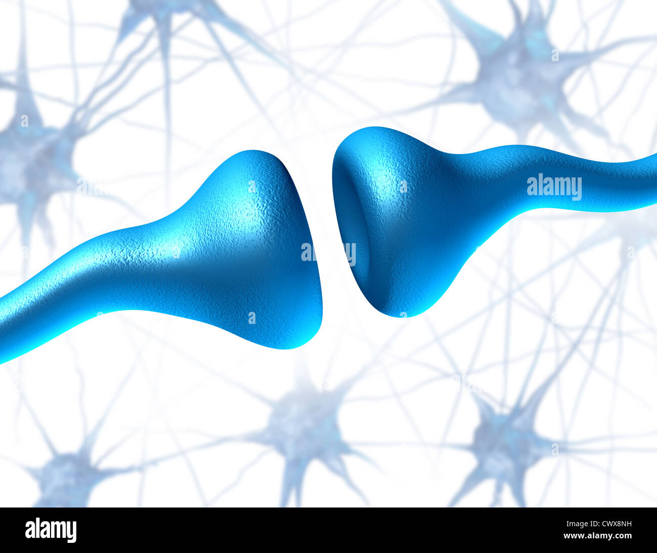 I neuroni e sinapsi biologici di invio dei segnali elettrici e chimici di segnalazione del recettore umano cellule come la neurotrasmissione Foto Stock