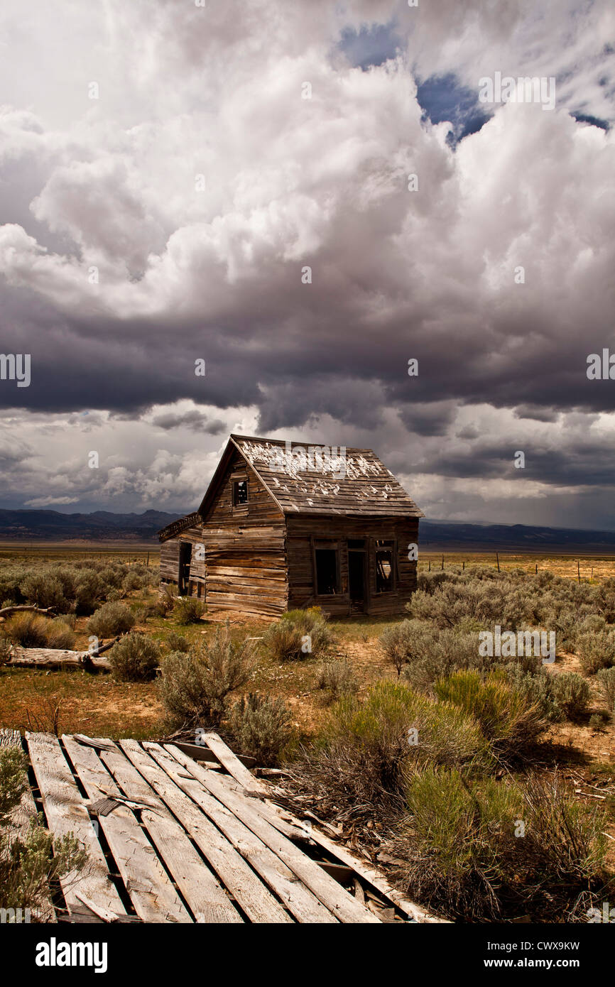 Widtsoe città fantasma, Utah, Stati Uniti d'America Foto Stock