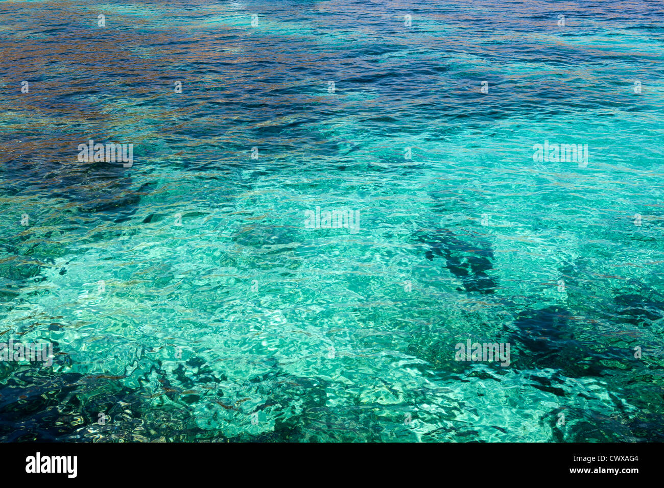 Chiudere fino a basso acqua cristallina si muove velocemente oltre mare poco profondo bed Foto Stock