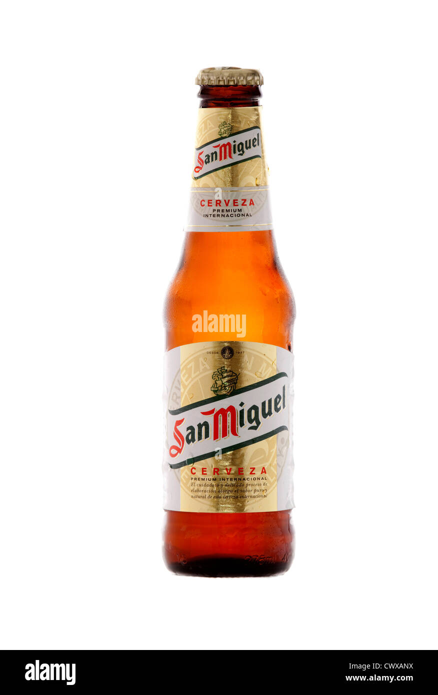 San Miguel lager isolato su sfondo bianco Foto Stock