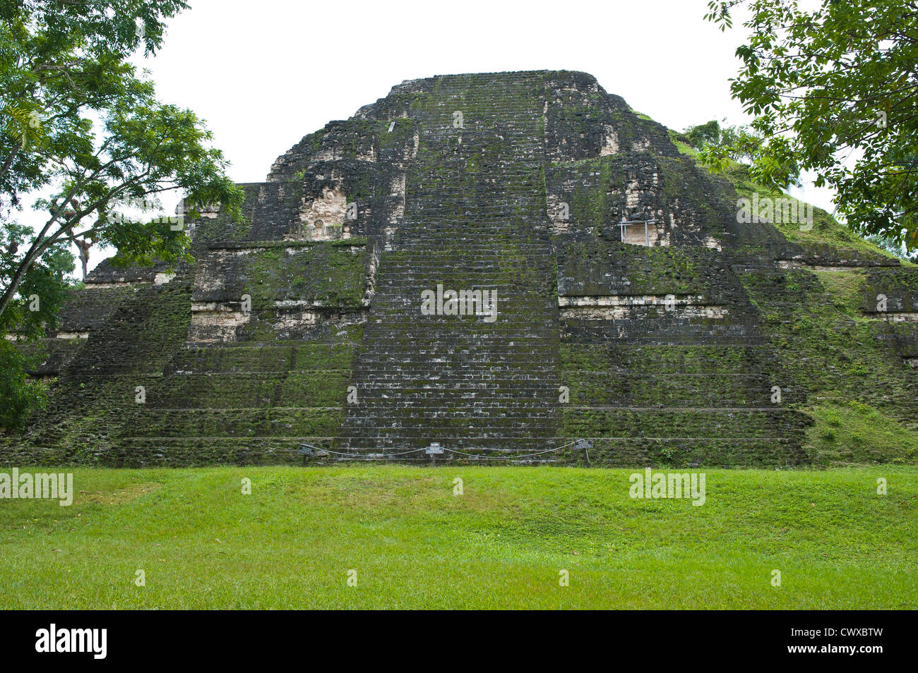 La piramide Maya rovine del tempio, il Parco Nazionale di Tikal, Parque Nacional Tikal, Sito Patrimonio Mondiale dell'UNESCO, il Guatemala, l'America centrale. Foto Stock