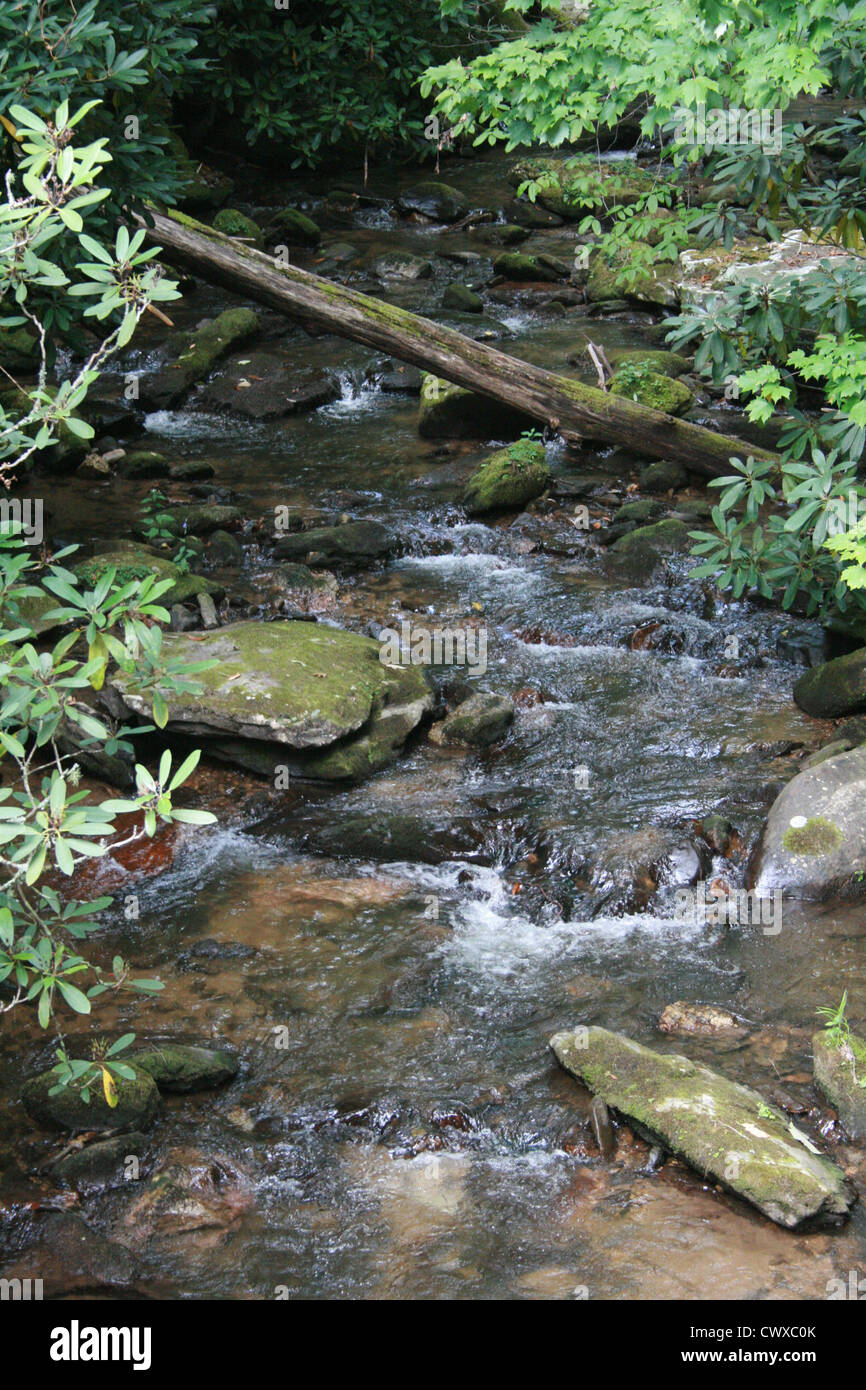 Torrenti di montagna fiumi insenature stream creek Foto Stock